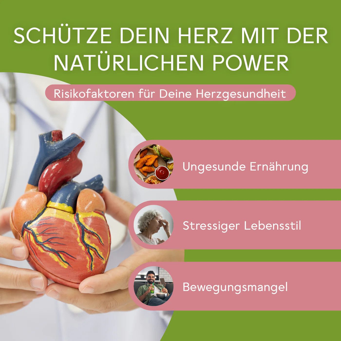 BitterLIebe - Cholesterin Komplex - Kombination aus Bitterstoffen & Beta-Glucane - Kapseln