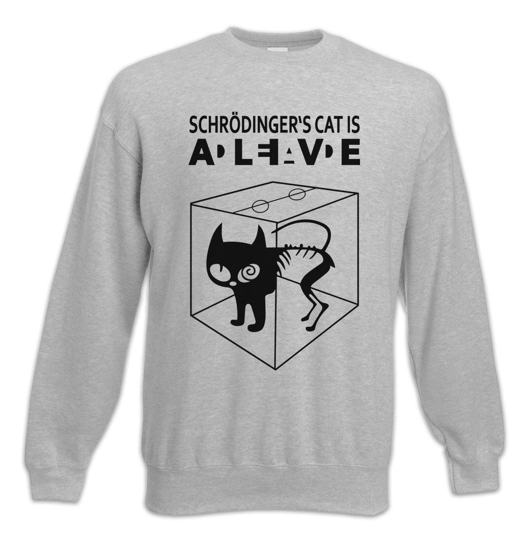 Sweatshirt Schrödinger's Cat Is Alive Dead I Sweatshirt The Big Schroedinger TV
