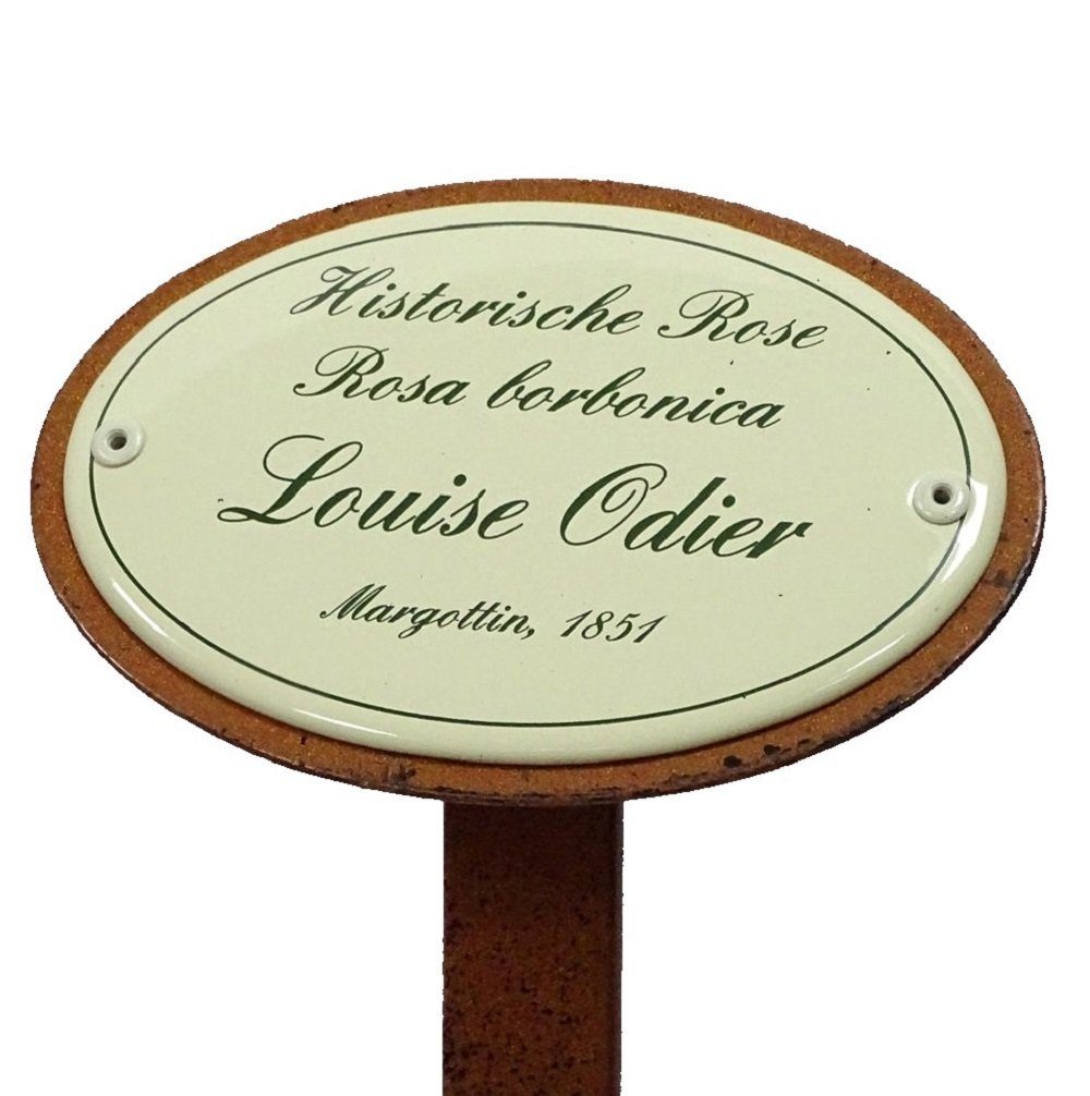 Linoows Gartenstecker Rosenschild Rosenstecker, Historische Rose, Louise Odier