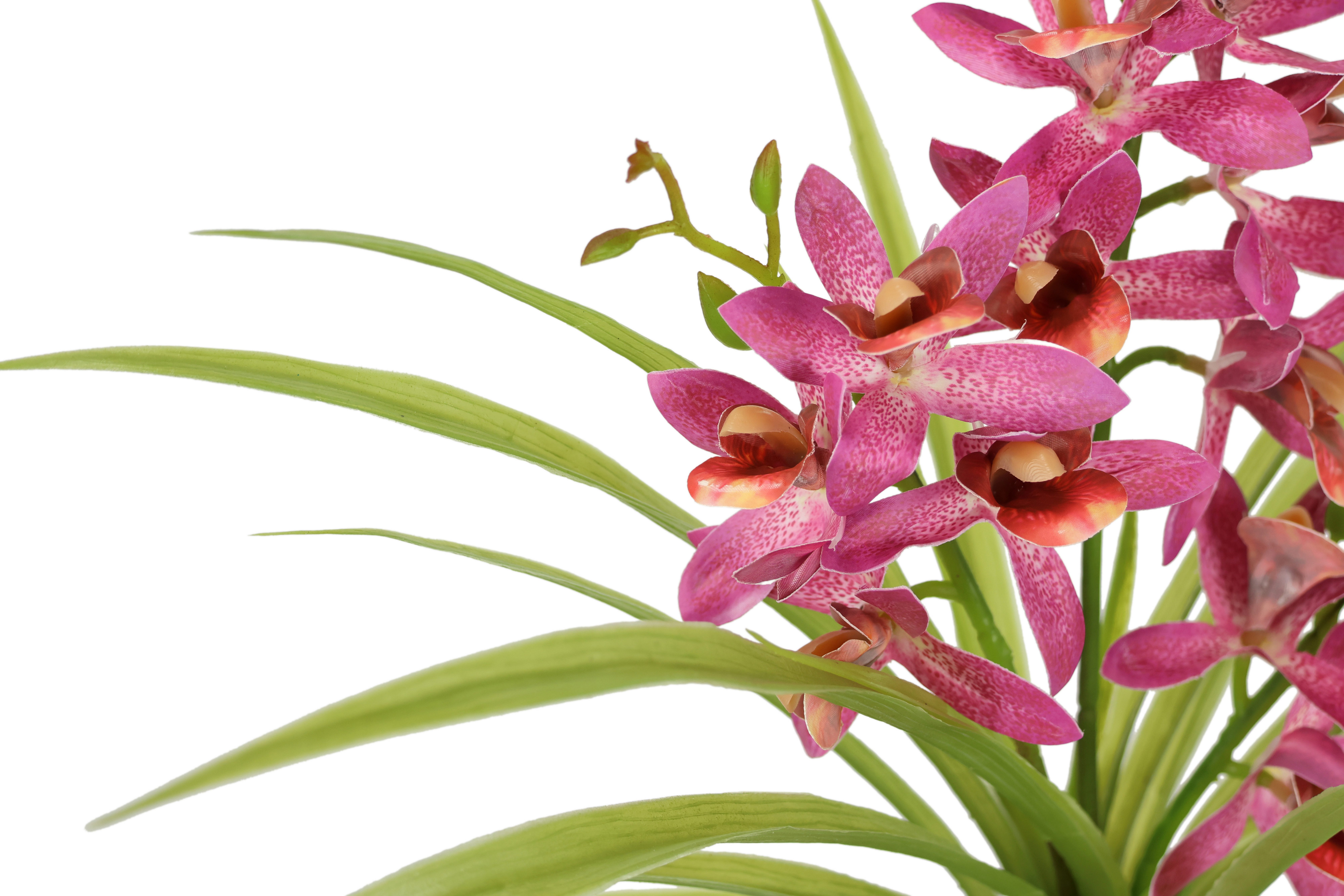 Kunstblume Kunstblume Schmetterling Orchidee mit Keramiktopf, I.GE.A., Höhe 38 cm, Mit Blätter Luftwurzeln Blume Kunstorchidee Phalaenopsis Kunstpflanze – Bild 2 von 3