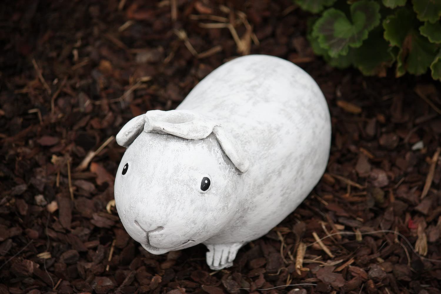 Stone and Style Gartenfigur Frostfeste Steinfigur Meerschweinchen Helmut – Bild 2 von 5