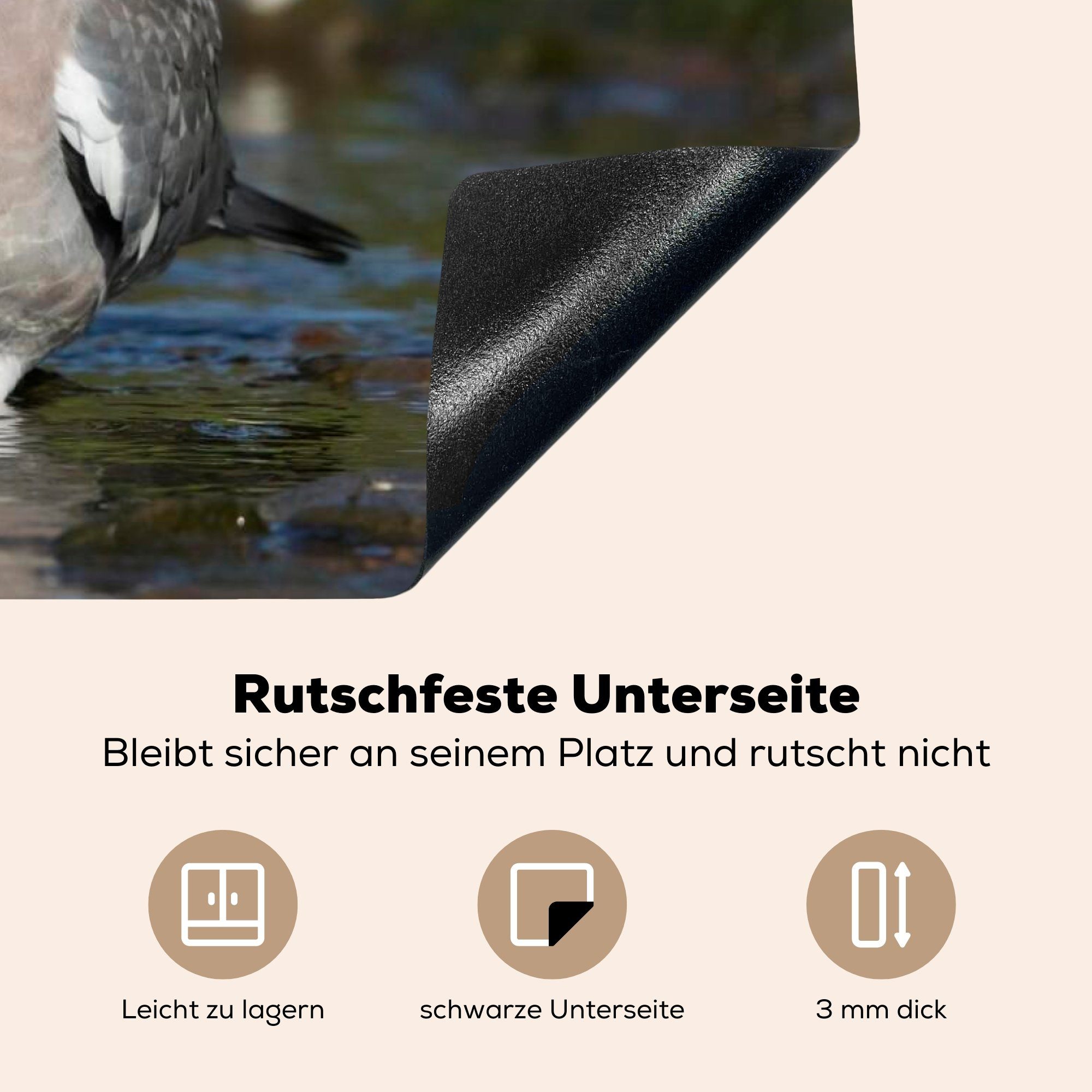 Vogel Wasser, Ringeltaube cm, Induktionskochfeld die tlg), Vinyl, (1 für küche, 81x52 Herdblende-/Abdeckplatte - Ceranfeldabdeckung Schutz - MuchoWow