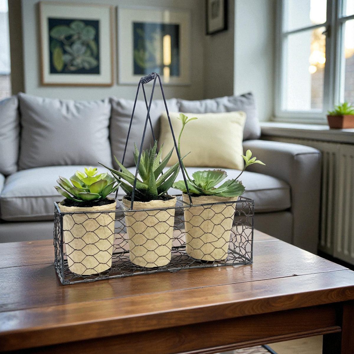 Kunstblume Künstliche Sukkulenten 3er Set. ca 27cm. Kunstpflanzen im Metall günstig online kaufen