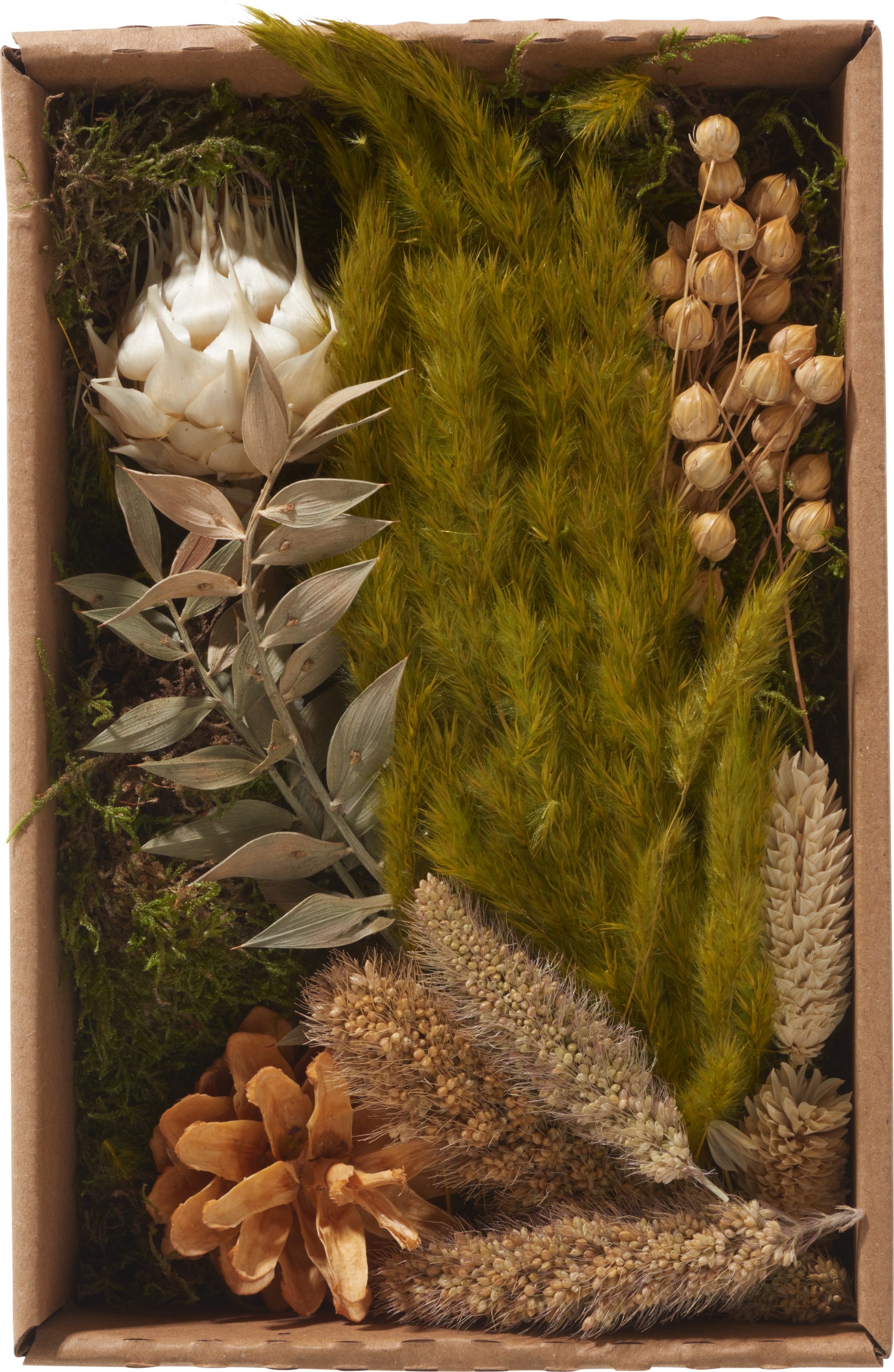 Kunstpflanze Trockenblüten Natural, Othmar Decorations, 100 günstig online kaufen