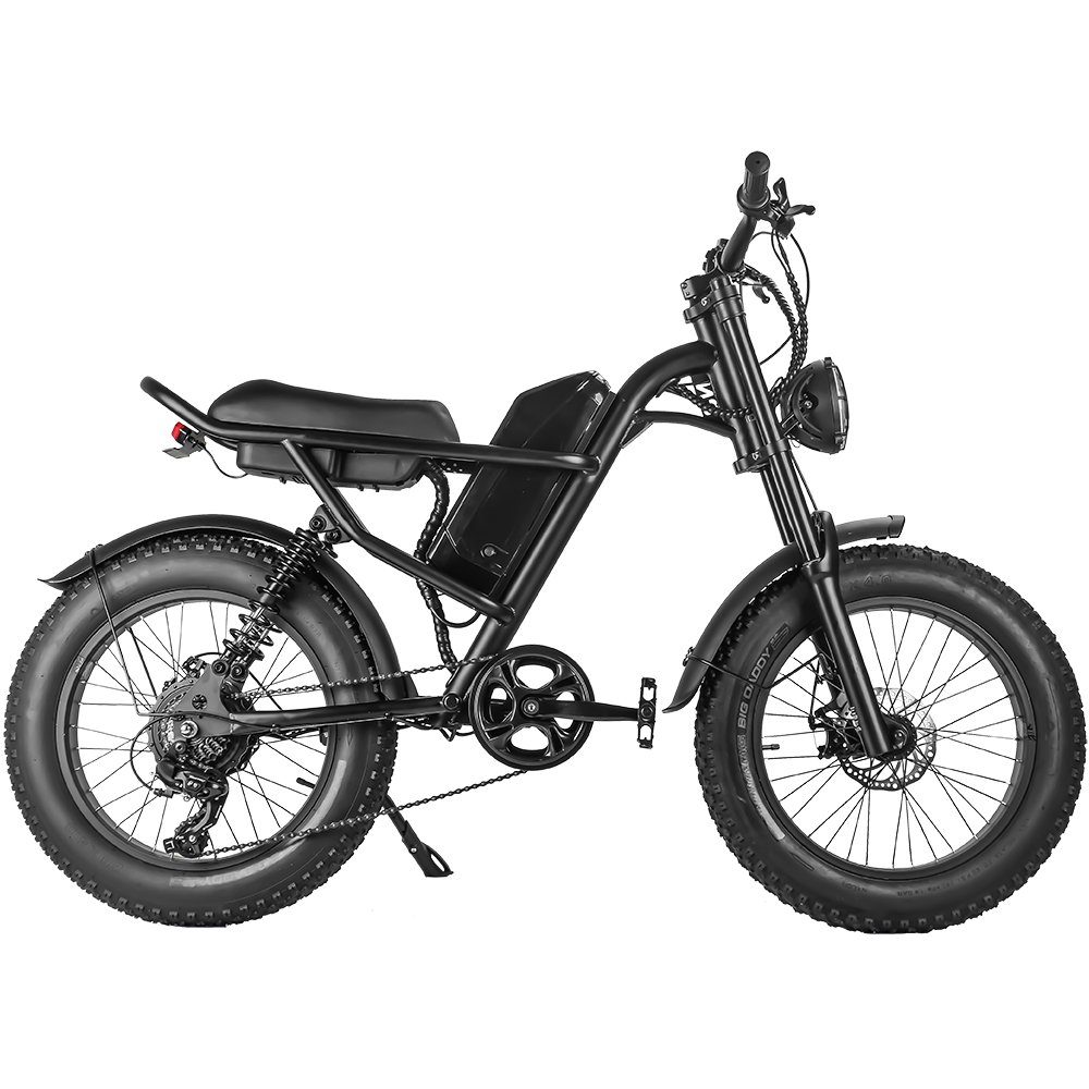 Fangqi E-Bike 20 Zoll Mountainbike, 500W Heckmotor, abnehmbarer 48V/15A  Akku, Kettenschaltung, 500,00 W, (set, Mit intelligentem LCD-Bildschirm,  LED-Scheinwerfer)