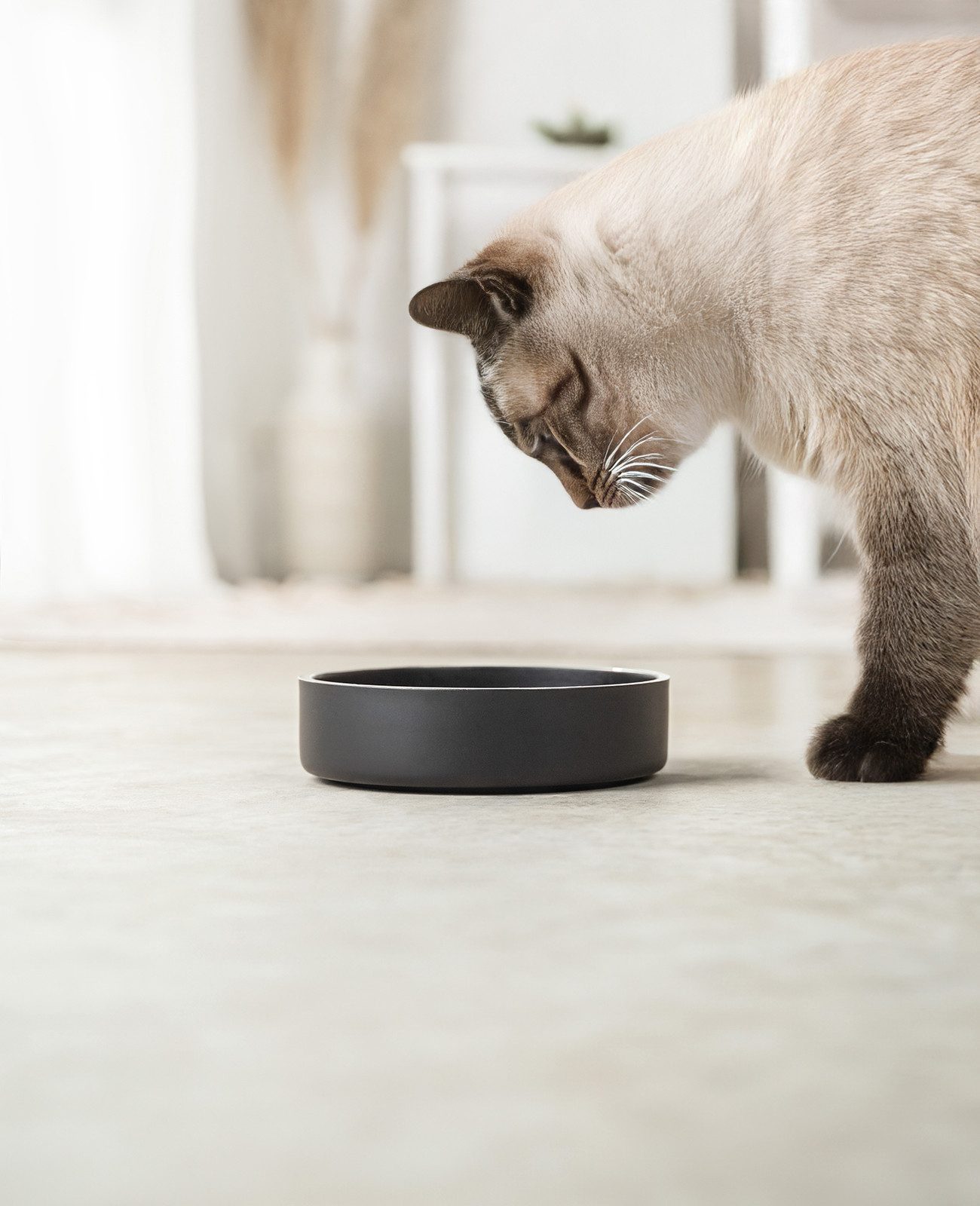 lionto Futternapf für Katzen, 17 cm Durchmesser, 825 ml schwarz, doppelwandig, Edelstahl, langlebig, stilvoll &rutschfest