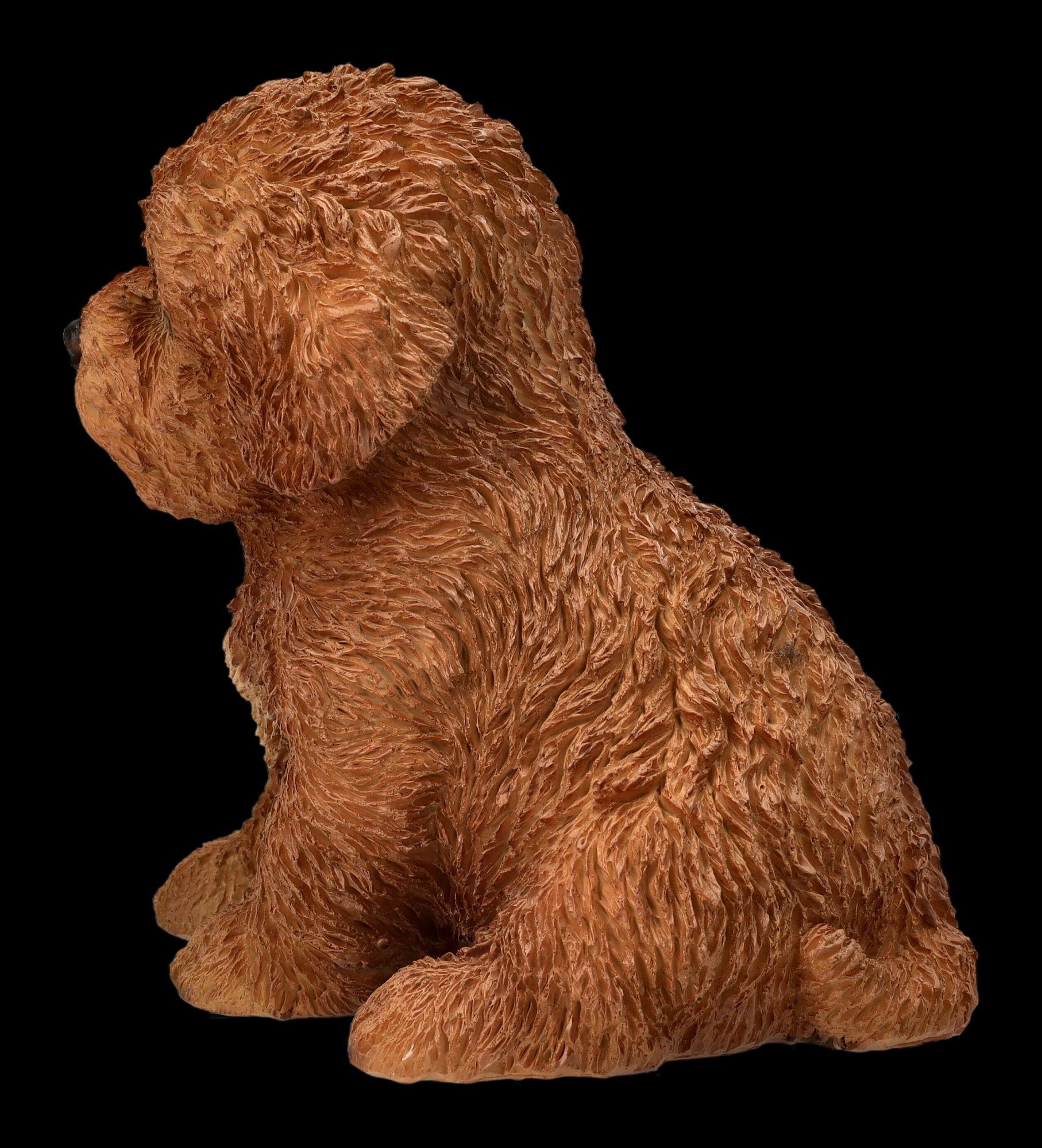 Figuren Hund Tierfigur GmbH Shop - Welpen Dekofigur Dekoration Figur Tierfigur Bichon Frise