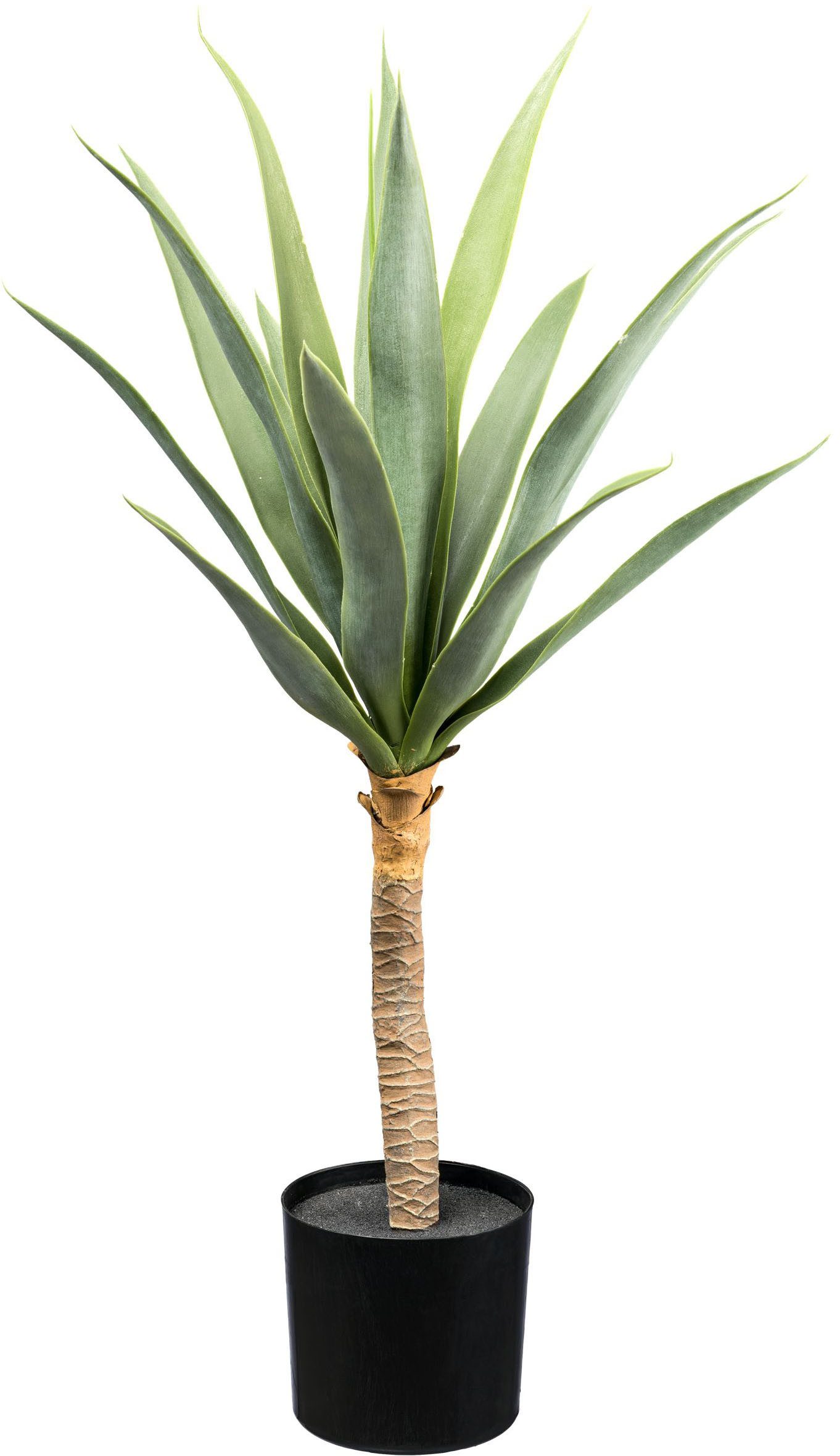 Kunstpflanze Dracaenastamm Yucca, Creativ green, Höhe 70 cm, auf Stamm günstig online kaufen