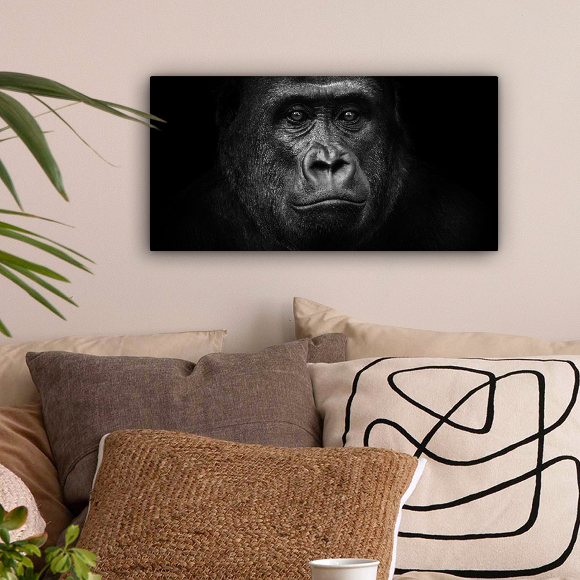 OneMillionCanvasses® Leinwandbild Panorama Gorilla - Schwarz günstig online kaufen