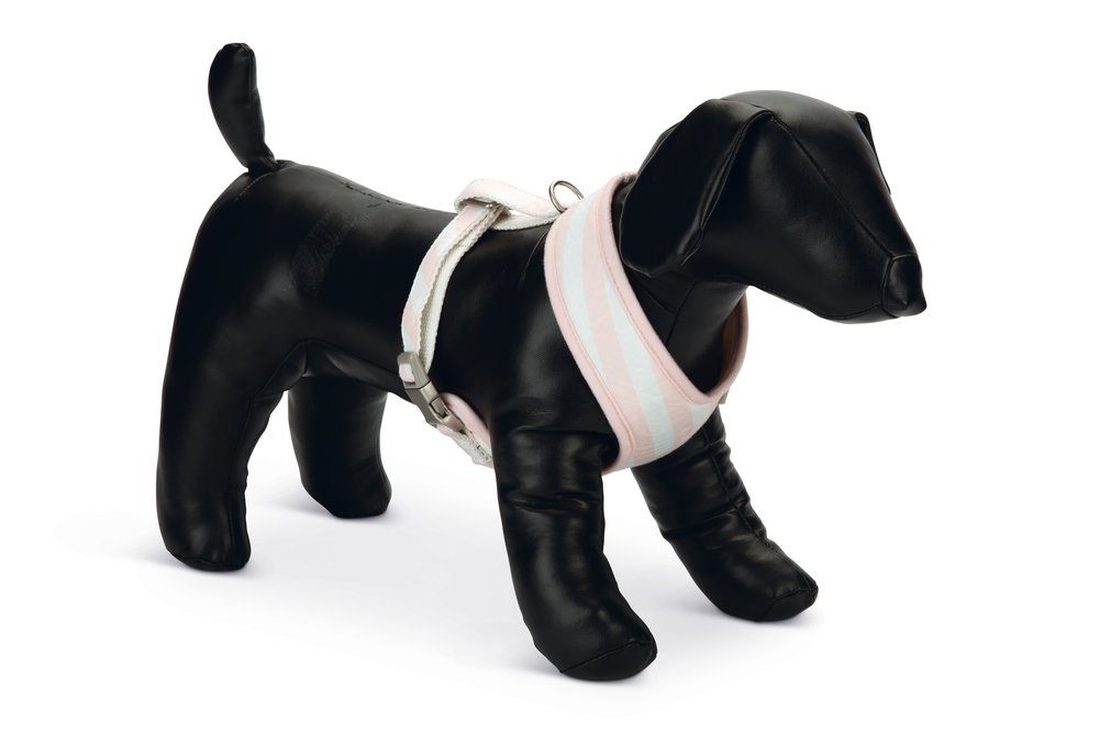 Beeztees Hunde-Geschirr Beeztees Puppy Welpengeschirr Größe / Farbe: S / rosa