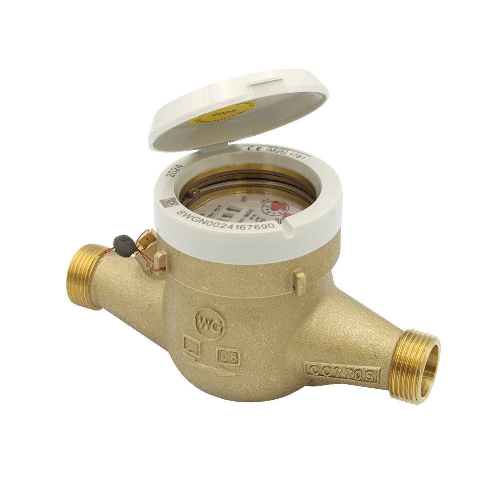 Wassergeräte Kaltwasserzähler Mehrstrahl Hauswasserzähler 1 Zoll AG 190 mm Kaltwasser Wasseruhr
