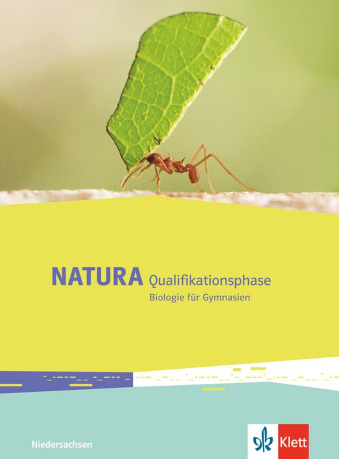 Natura Biologie. Schülerbuch Qualifikationsphase. Ausgabe Niedersachse / diverse