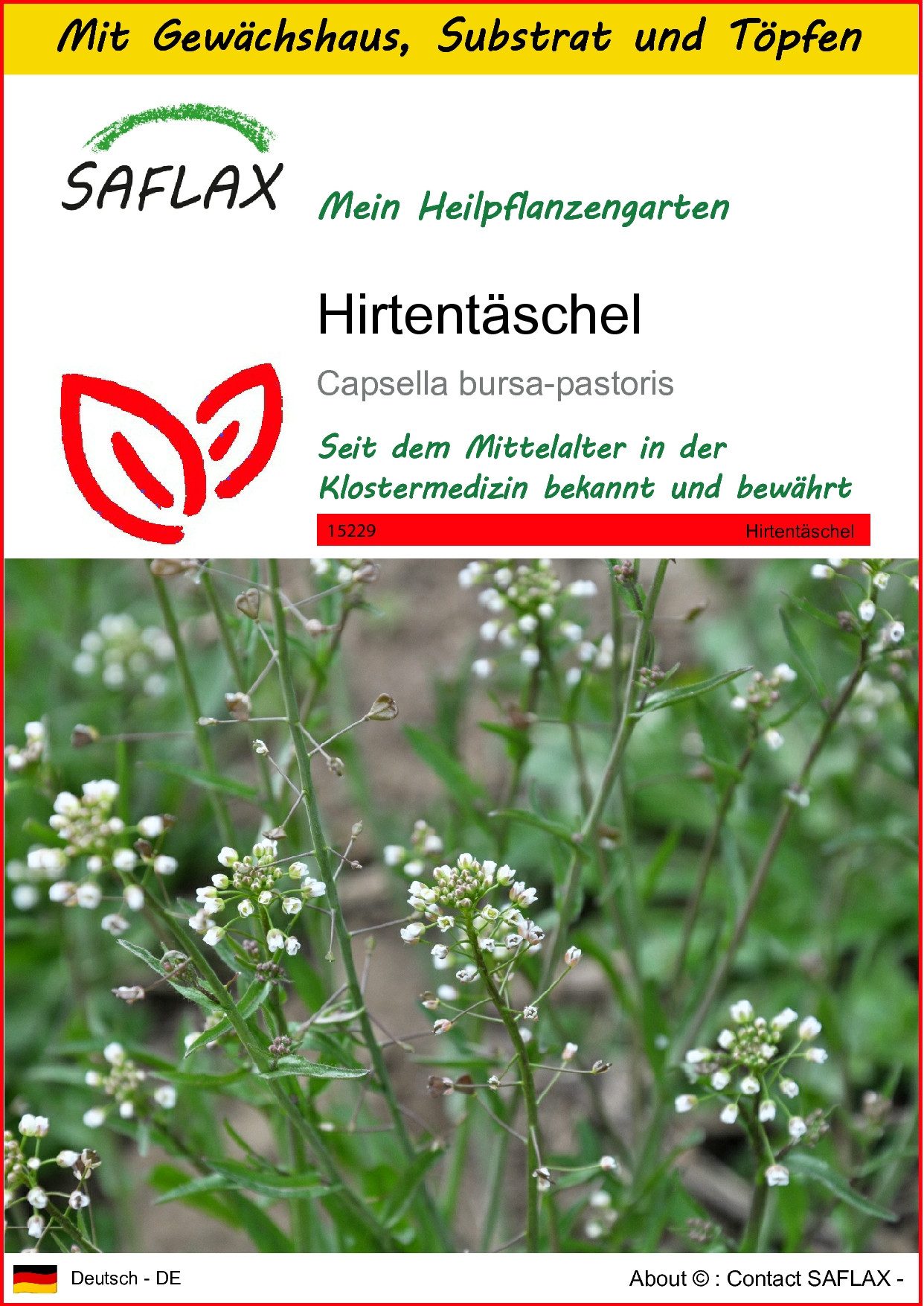Blumensamen SAFLAX - Anzuchtset - Hirtentäschel