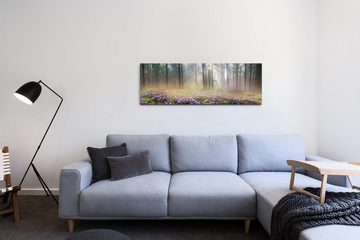 möbel-direkt.de Leinwandbild Bilder XXL Wald im Frühling Wandbild auf Leinwand