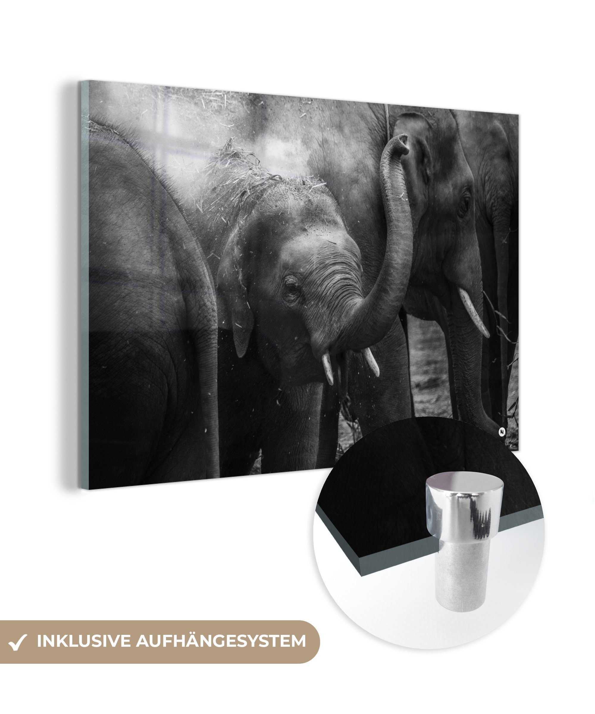 MuchoWow Acrylglasbild Indien - Elefant - Tiere, (1 St), Acrylglasbilder Wohnzimmer & Schlafzimmer