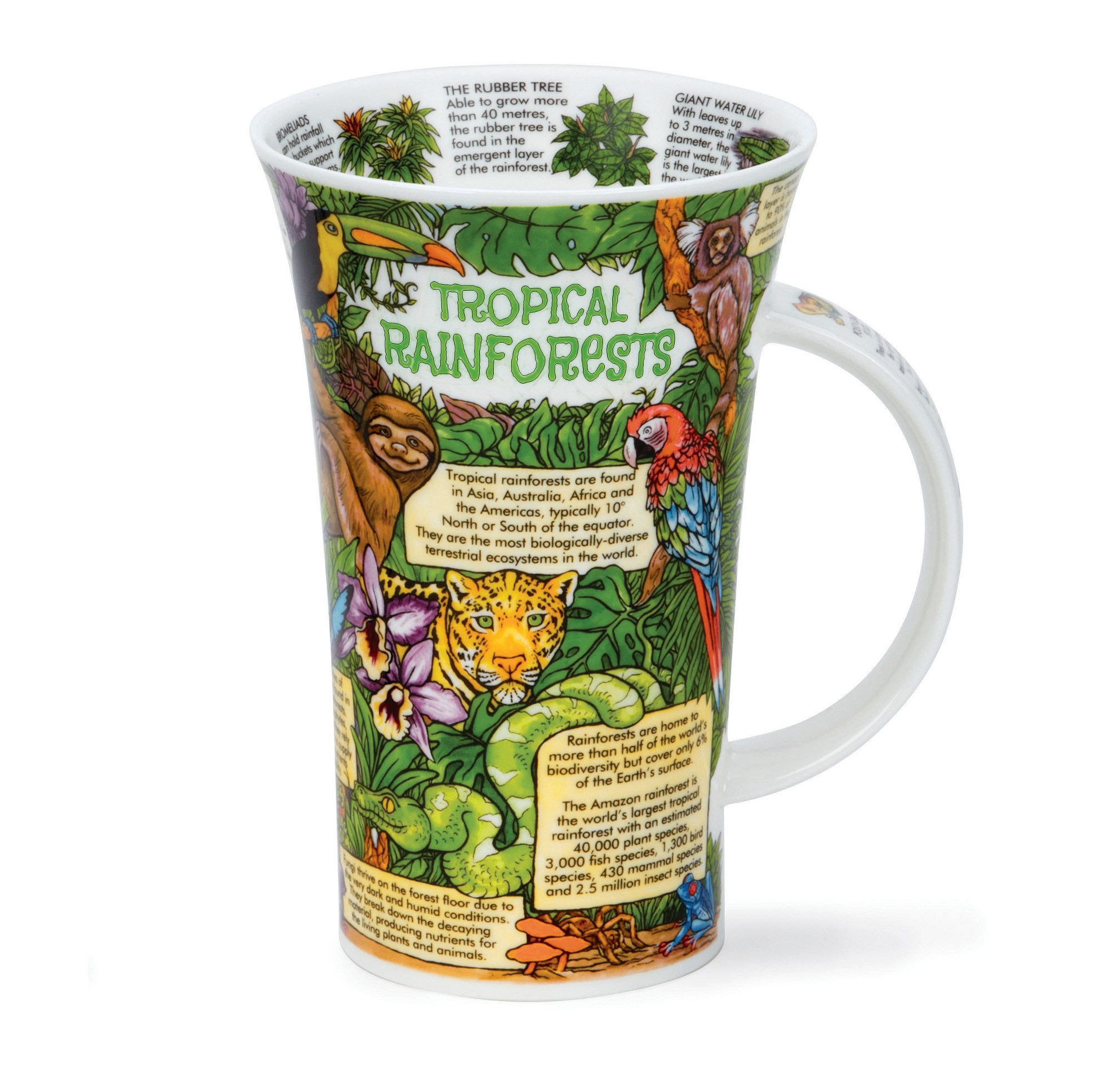 Dunoon Becher Glencoe - TROPICAL RAINFORESTS, Sammelbecher