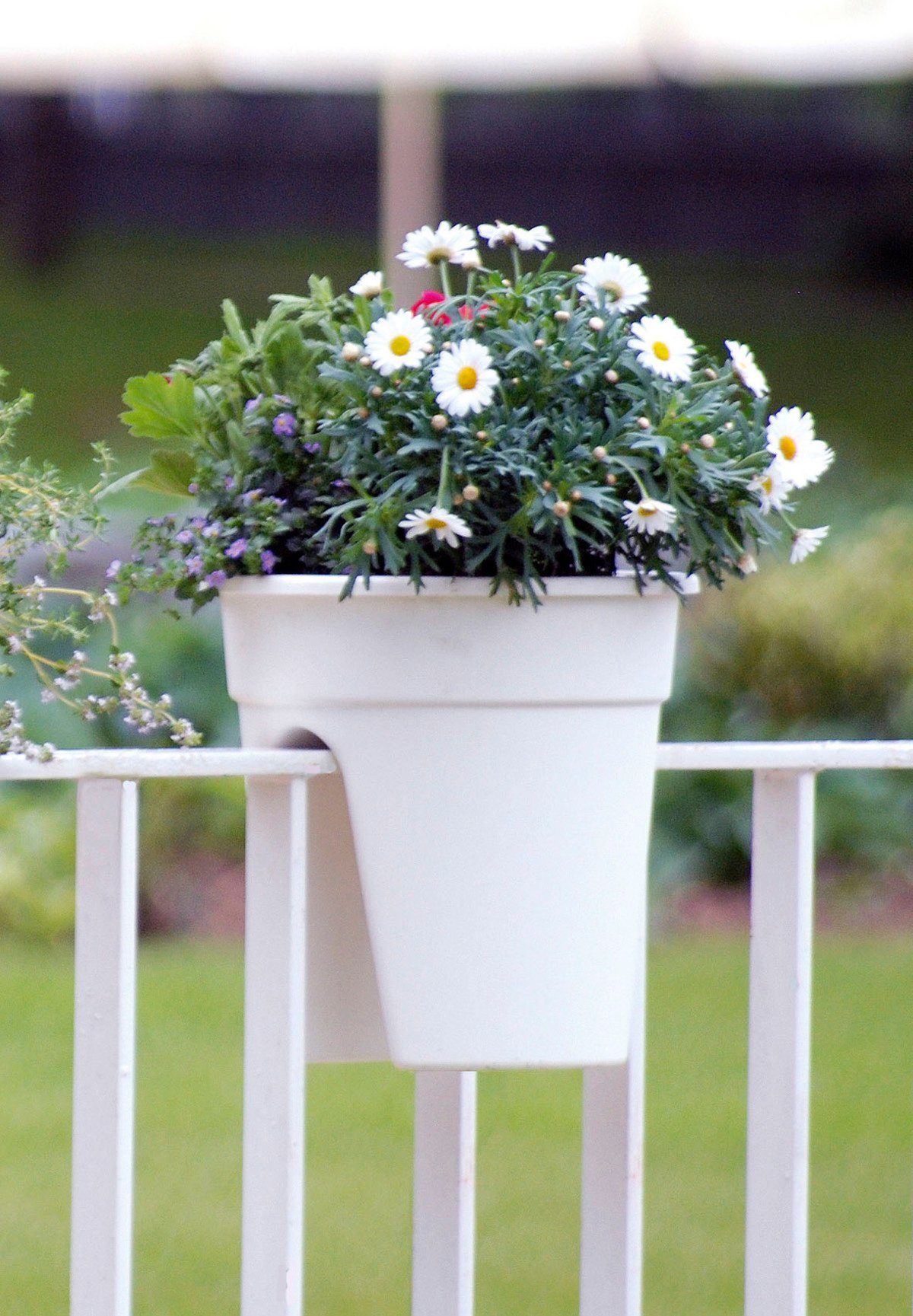 KHW Balkonkasten Flowerclip (Set, 3 St), ØxH: 27x27,5 cm