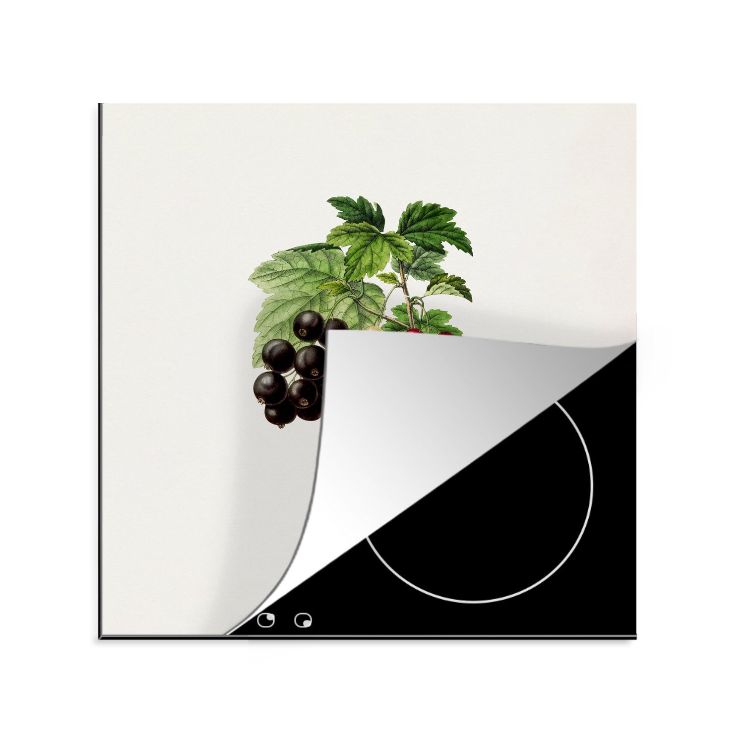 MuchoWow Herdblende-/Abdeckplatte Beeren - Lebensmittel - Pflanze, Vinyl, (1 tlg), 78x78 cm, Ceranfeldabdeckung, Arbeitsplatte für küche