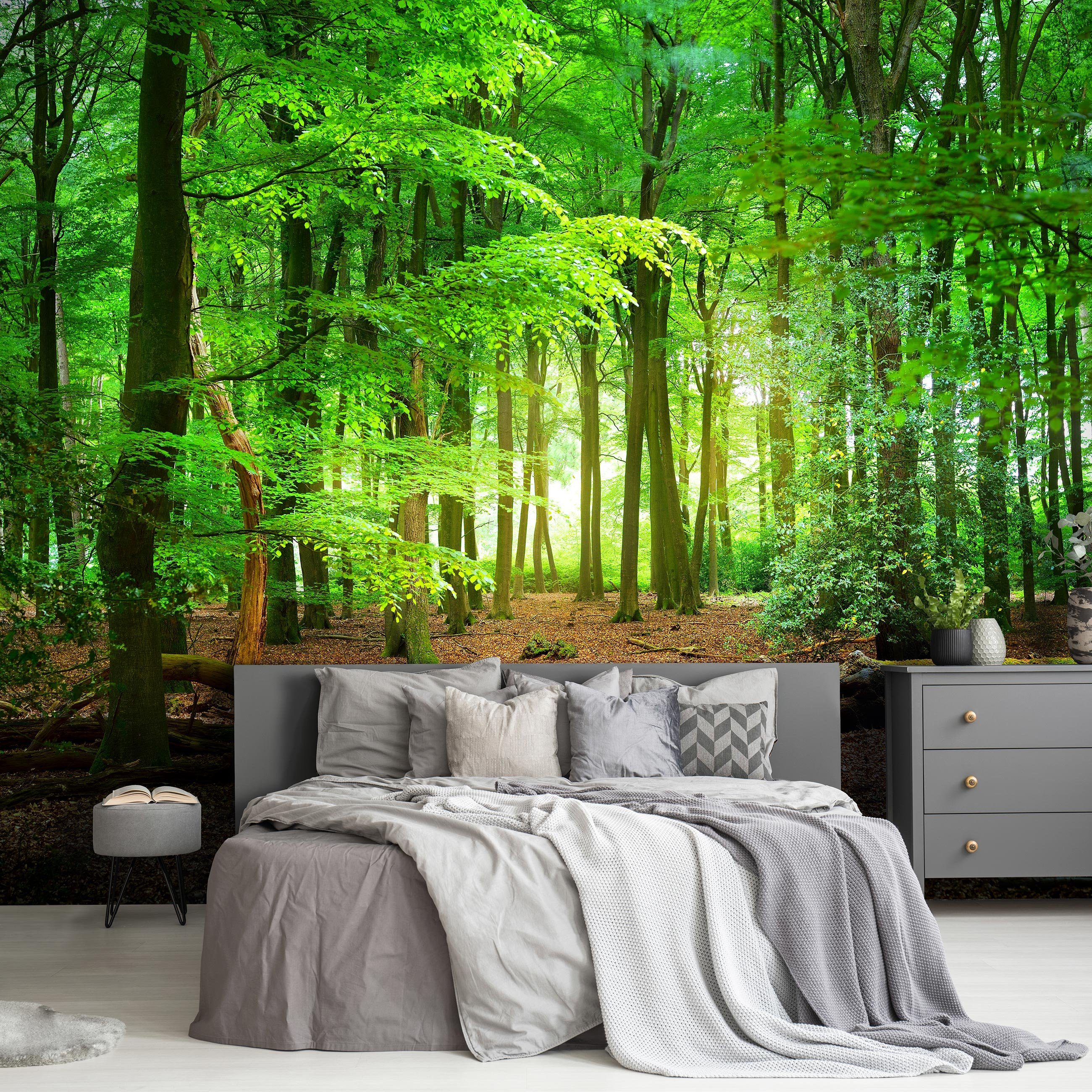 Natur Vlies Fototapete Wandtapete, Vliestapete Landschaft, Vinyl, Struktur inklusive Motivtapete Glatt Schlafzimmer Wallarena Kleister Vlies Sonne Tapete Wald Tapete Wohnzimmer Natur,