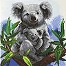 Cuddly Koalas