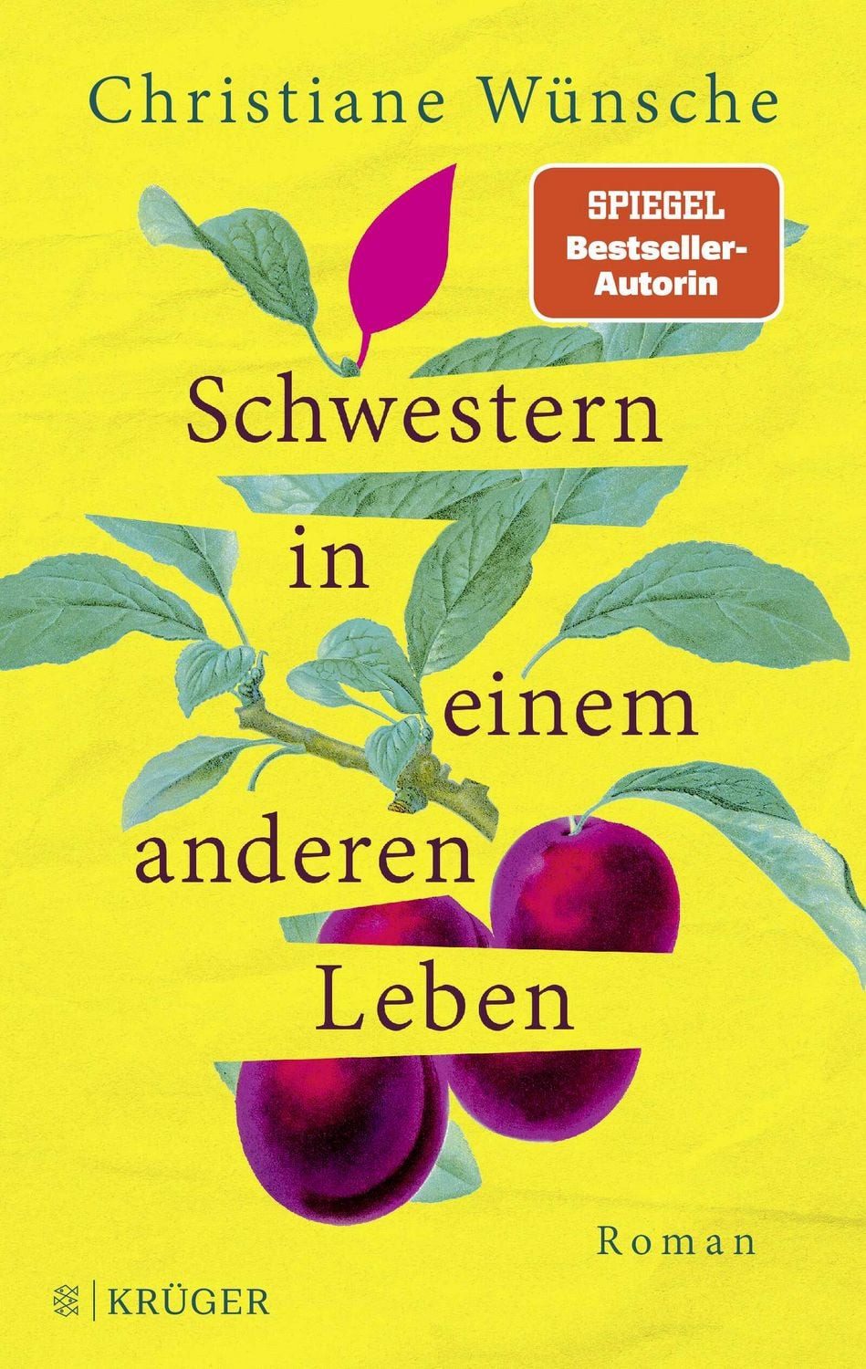 Schwestern in einem anderen Leben / Christiane Wünsche