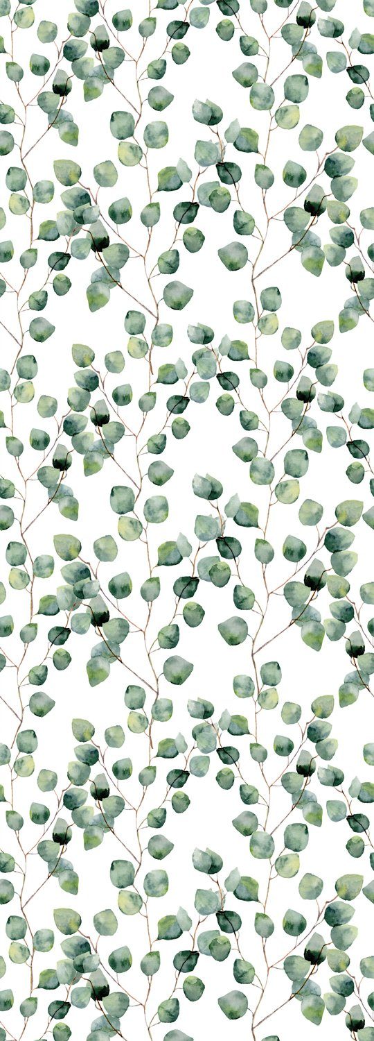 queence Vinyltapete Blätter - Eukalyptus, glatt, (1 St), Selbstklebende Tapete 90x250cm mit herbstlichem Motiv