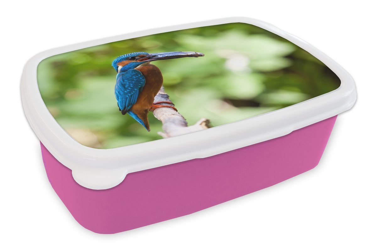 MuchoWow Lunchbox Eisvogel - Fisch (2-tlg), Kinder, - für Brotdose Baum, Erwachsene, Snackbox, Kunststoff, Kunststoff rosa Brotbox Mädchen