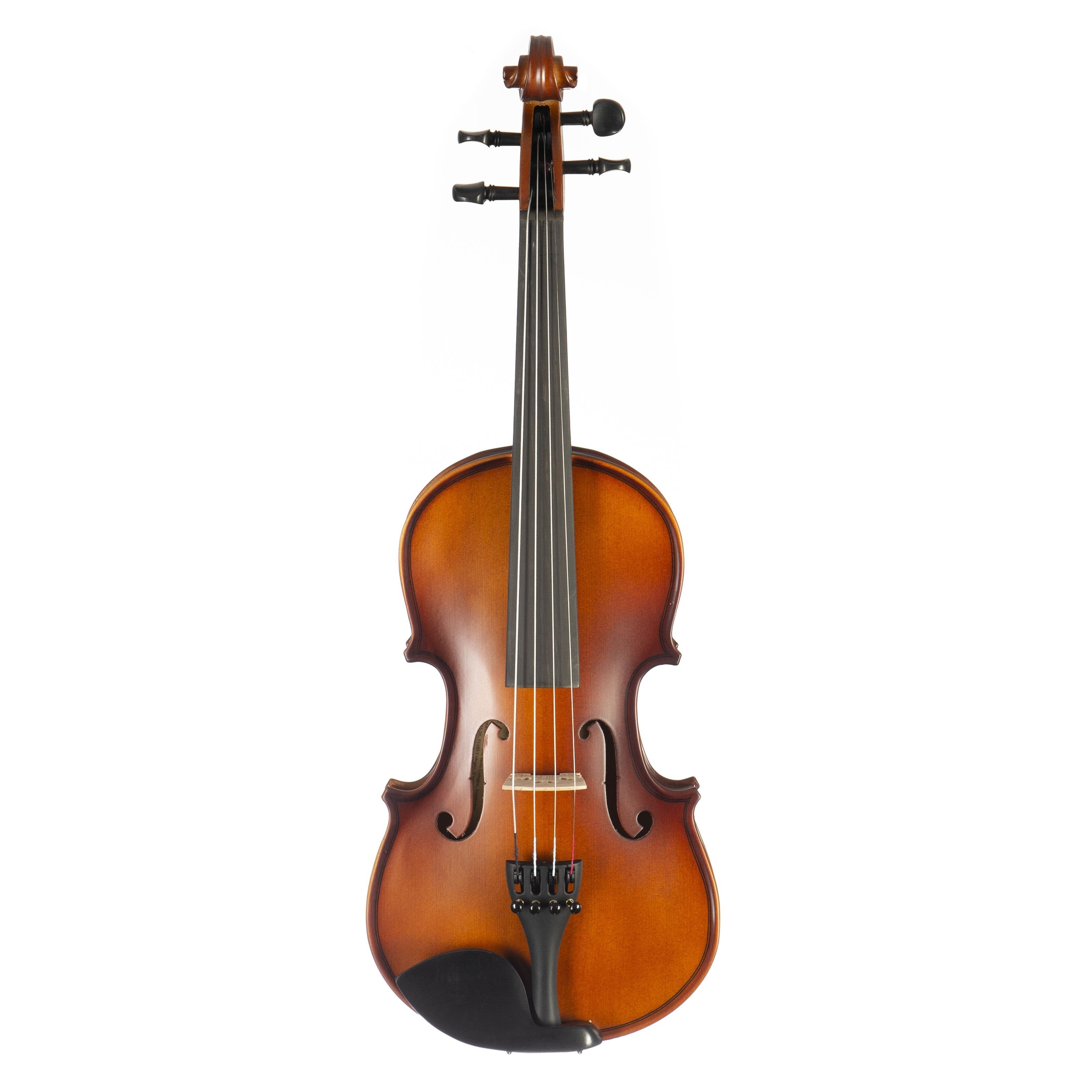 Violine