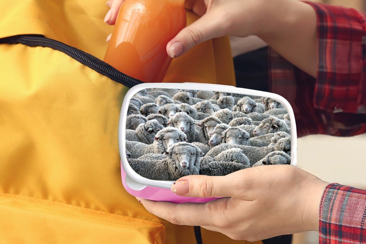 MuchoWow Lunchbox Schafe - Kinder, rosa Brotdose Snackbox, Mädchen, Tiere Erwachsene, Kunststoff Kunststoff, für Schafsfell, - Brotbox (2-tlg)