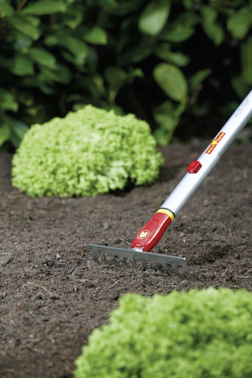 WOLF-Garten Rechenbesen Wolf Garten Kleinrechen Multi-Star DS-M 19 19 cm