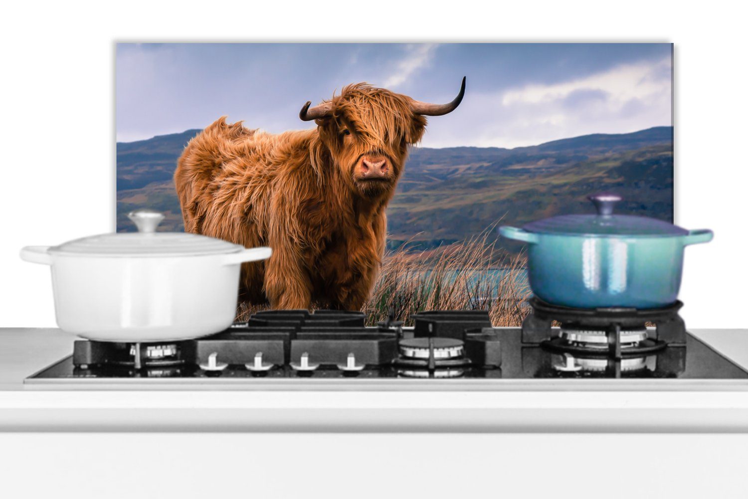 cm, Kuh, Natur Fett Schottischer - und Küchen Schmutzflecken Highlander Küchenrückwand Wasser gegen (1-tlg), für 60x30 MuchoWow - Berg - Wandschutz, -