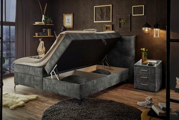 riess-ambiente Boxbett CLERMONT 180x200cm grau (Einzelartikel, 1-St), Microvelours · Bettkasten · inkl. Matratze & Topper · Chesterfield