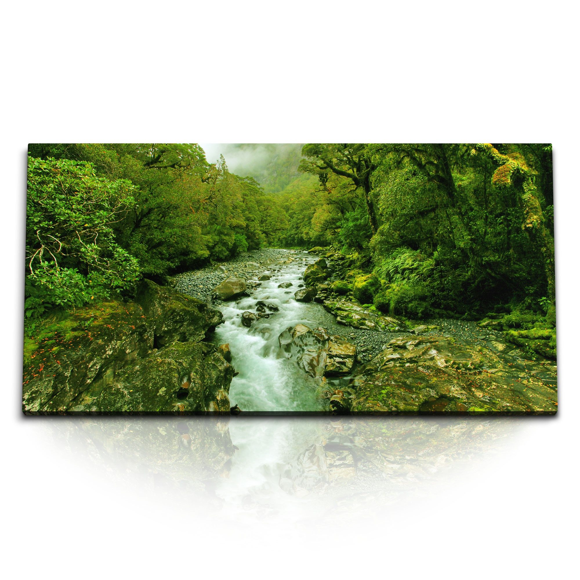 Leinwandbild Kunstdruck Bilder 120x60cm Bach im Dschungel Bäume Grün Tropisch Fluss