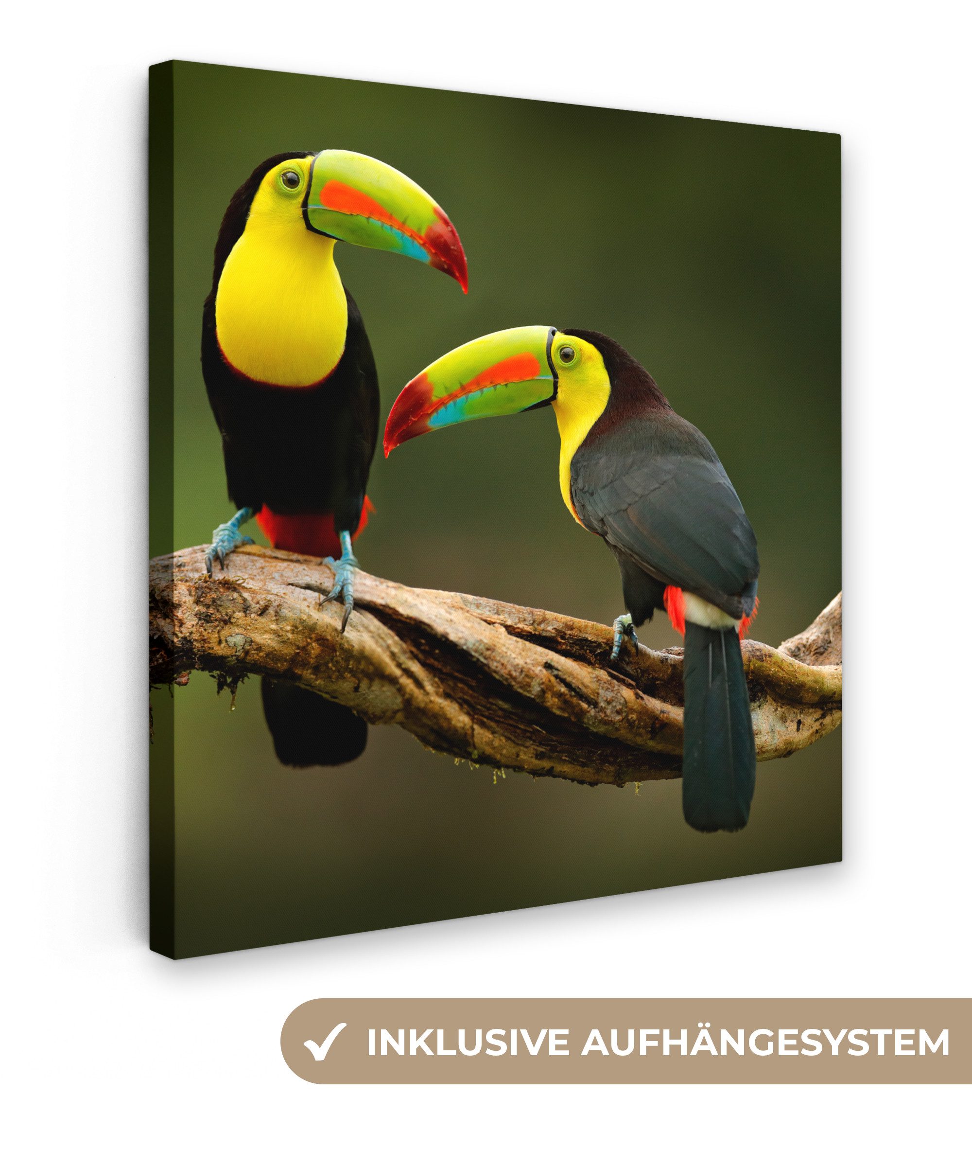 OneMillionCanvasses® Leinwandbild Vögel - Tukan - Zweig - Tiere - Regenbogen, Fotodruck (1 St), Wandbild, Deko Schlafzimmer Wohnzimmer Flur 20x20 cm