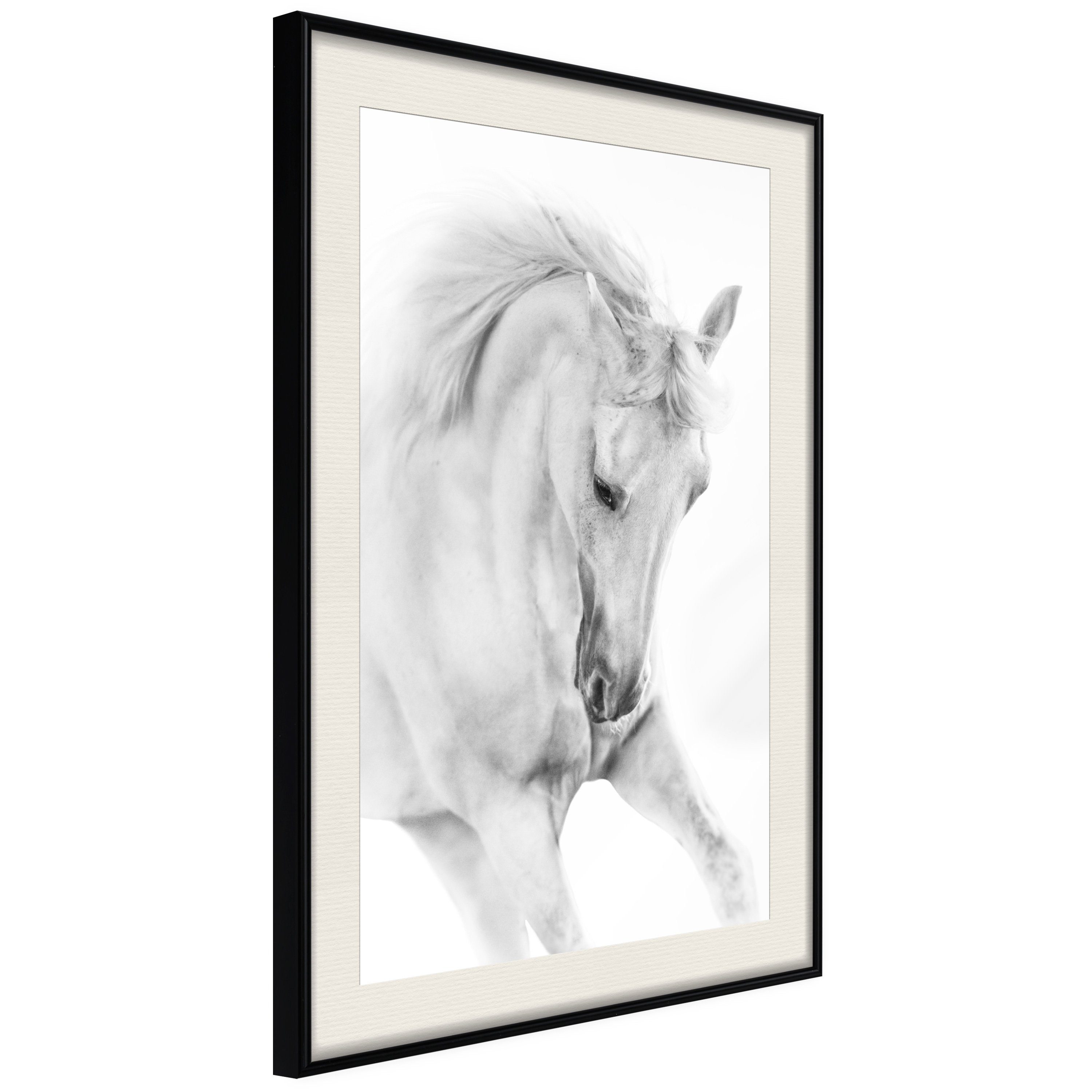 Poster White Horse