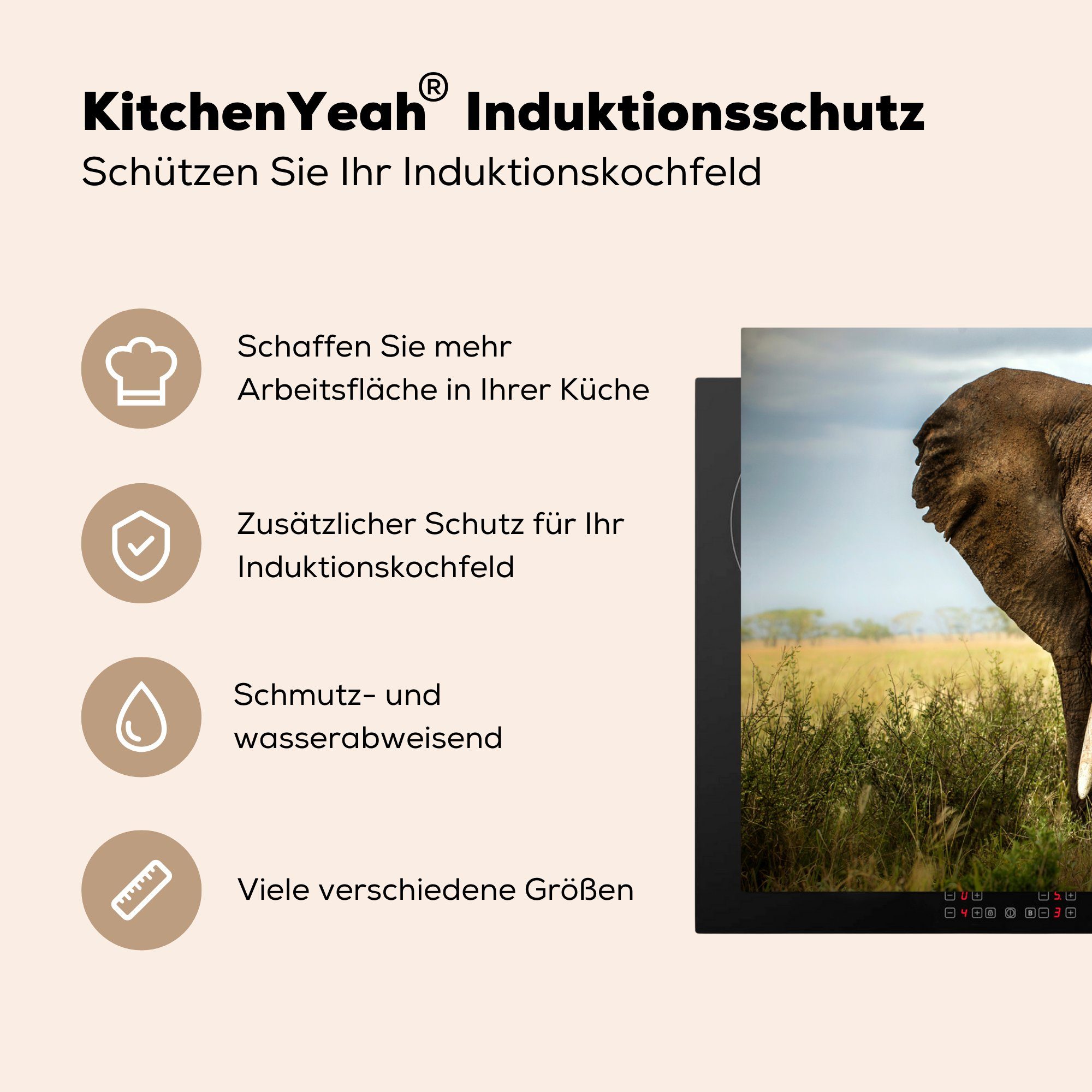 MuchoWow Herdblende-/Abdeckplatte Elefant für Ceranfeldabdeckung (1 Gras, Vinyl, die 81x52 Tiere küche, Induktionskochfeld tlg), cm, Schutz - 