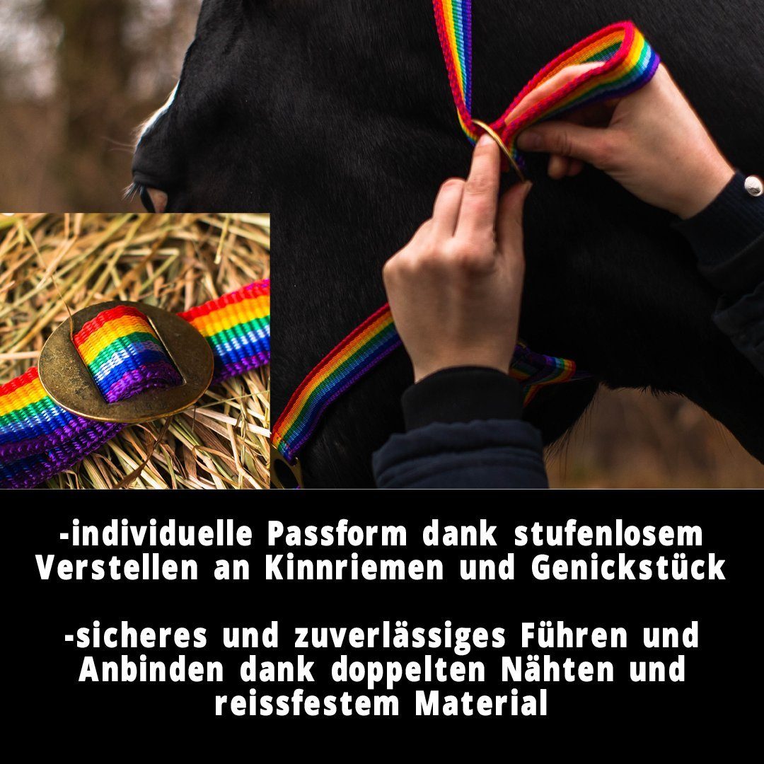Pferdelinis Halfter Halfter für Pferde 2-Fach verstellbar an Kinnriemen und Genickstück, zweifach verstellbar