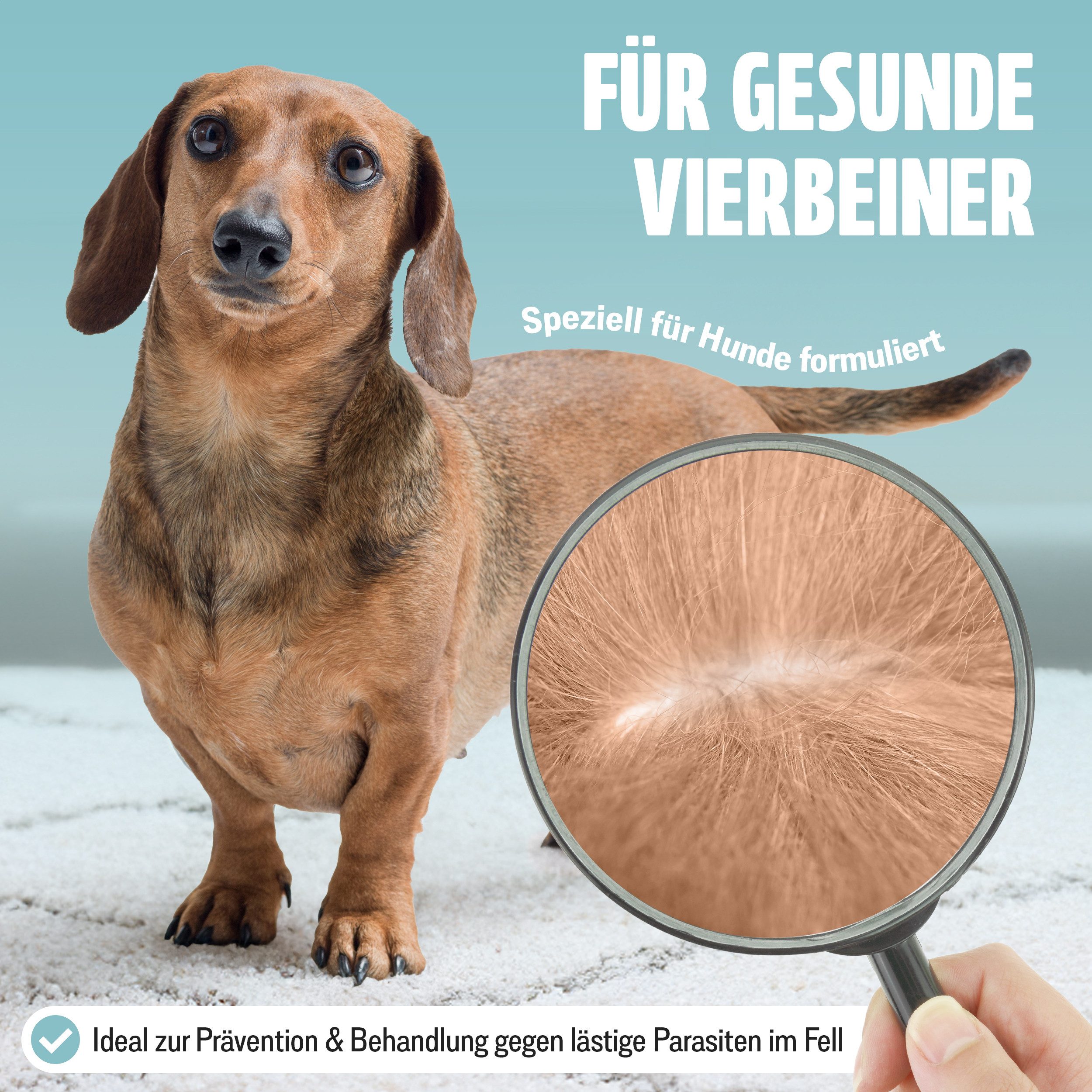 FUTUM Zeckenschutzmittel Spot on für Hunde, 36 ml, MADE IN GERMANY