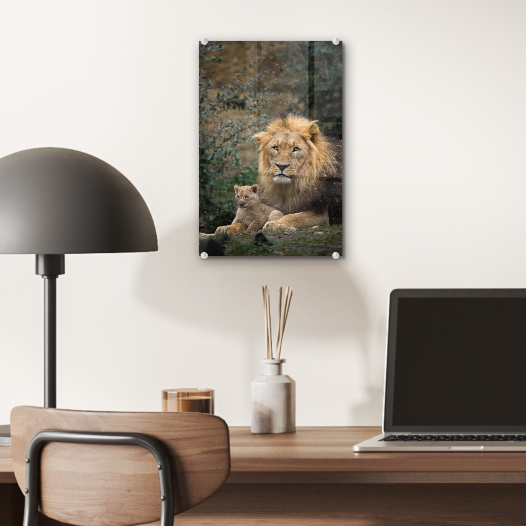 - Acrylglasbild Raubtiere Foto - - Glas Löwen Bilder - auf Wanddekoration Glasbilder auf Wandbild Glas - St), (1 Porträt, MuchoWow