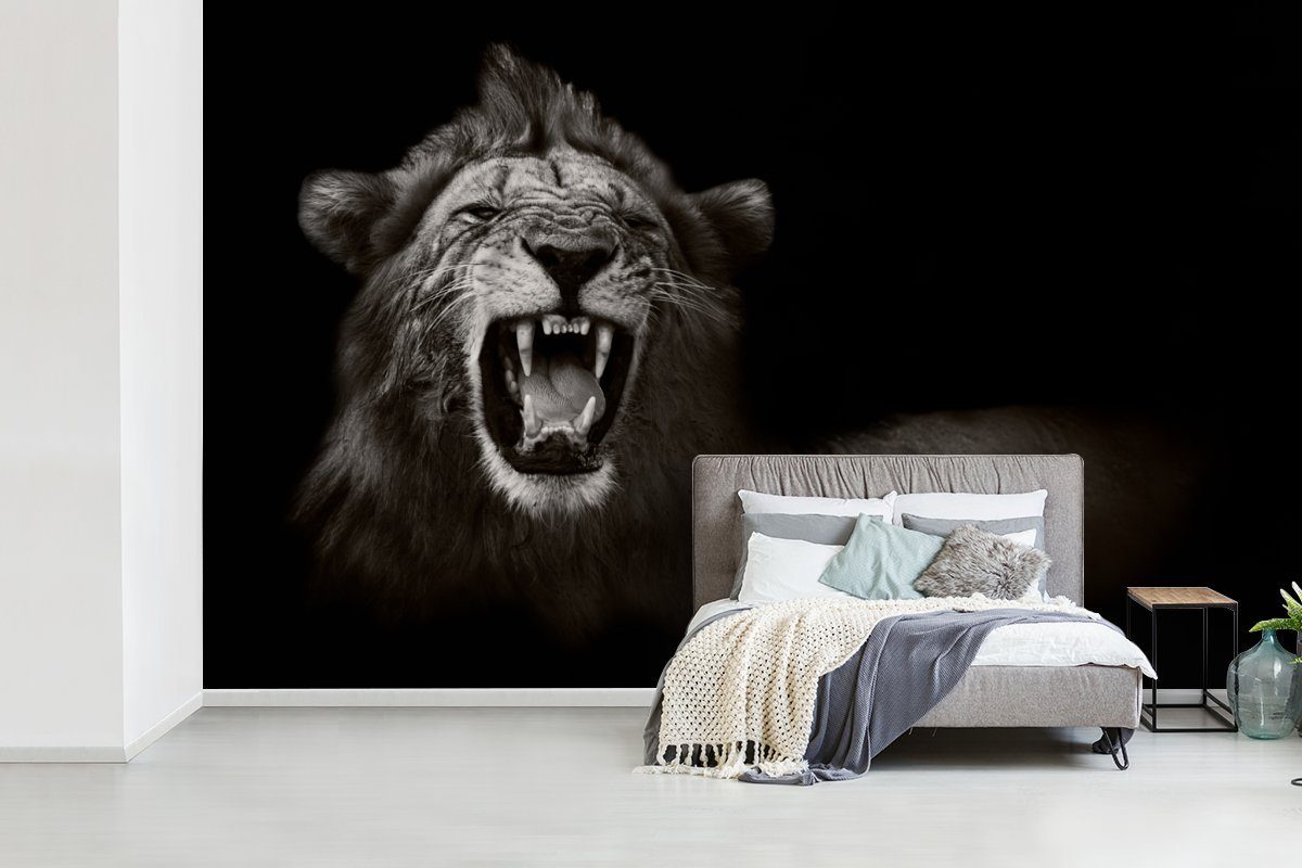 Löwe oder Matt, MuchoWow - - Wohnzimmer Fototapete bedruckt, Schwarz (7 St), Vinyl Wandtapete Tapete Wild - für Schlafzimmer, Weiß,