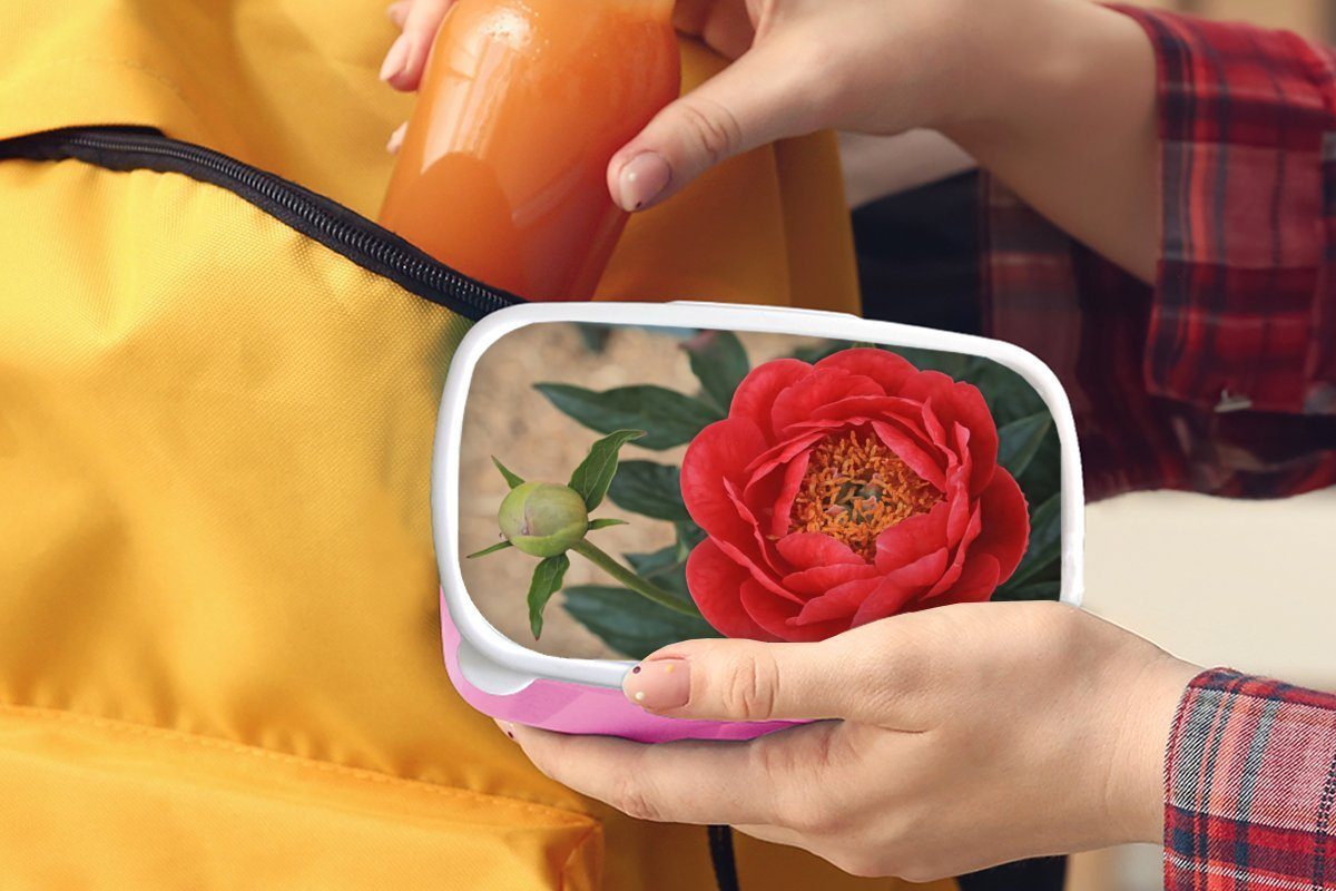 Lunchbox Kunststoff, Eine und rote rosa (2-tlg), MuchoWow Erwachsene, für Knospe, eine Mädchen, Snackbox, Kinder, Brotbox Kunststoff Brotdose Pfingstrose