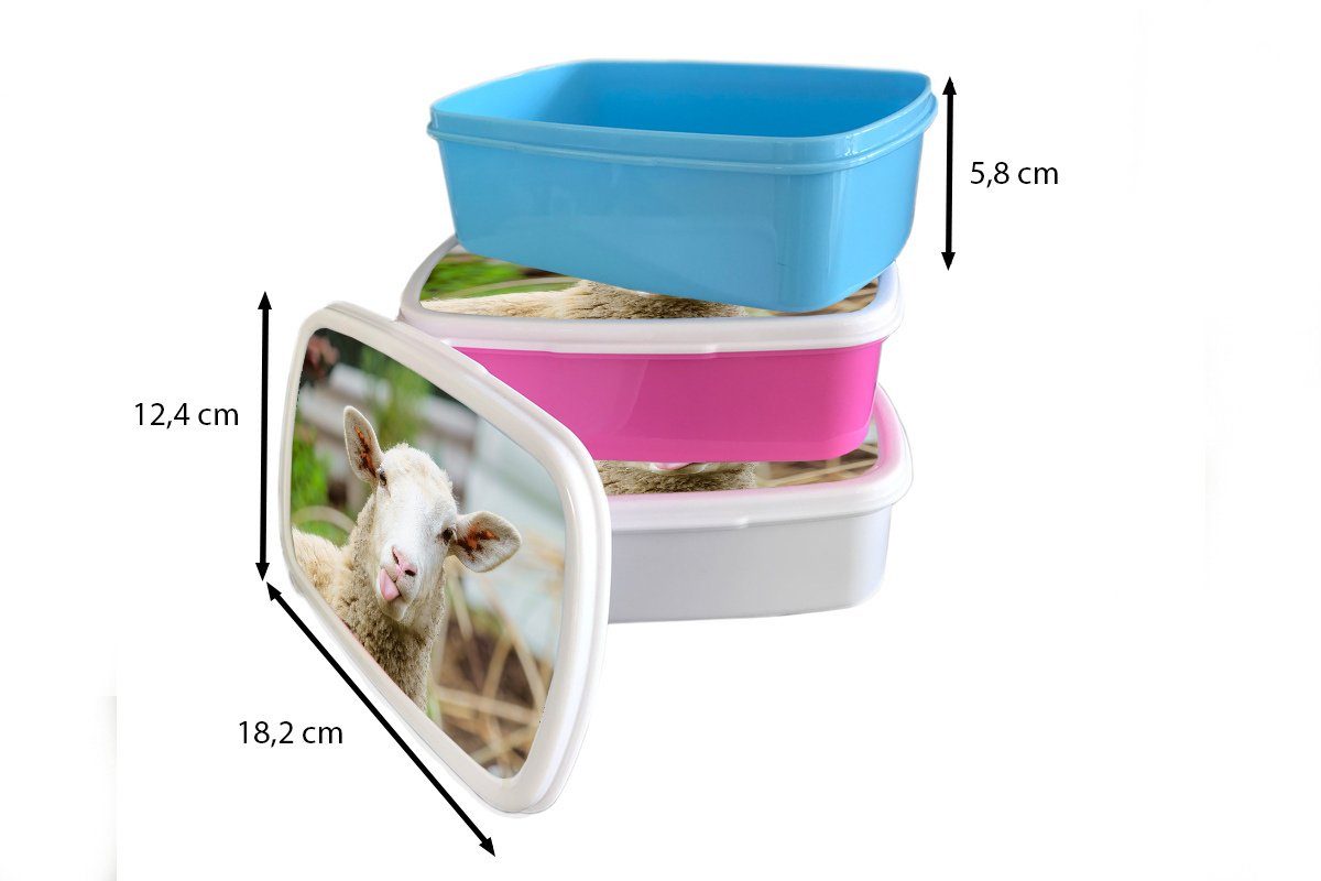MuchoWow Lunchbox Schafe - (2-tlg), und für Wolle, Mädchen weiß Erwachsene, Jungs Brotbox Kinder für Kunststoff, - und Brotdose, Tiere
