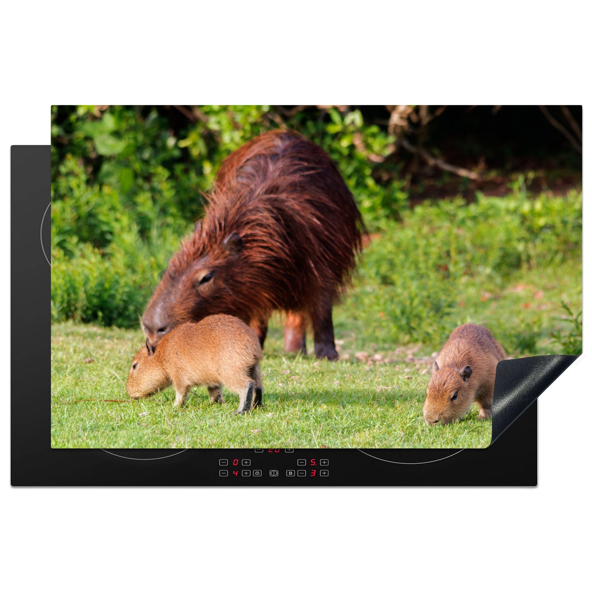 MuchoWow Herdblende-/Abdeckplatte Capibara-Familie im Gras, Vinyl, (1 tlg), 81x52 cm, Induktionskochfeld Schutz für die küche, Ceranfeldabdeckung