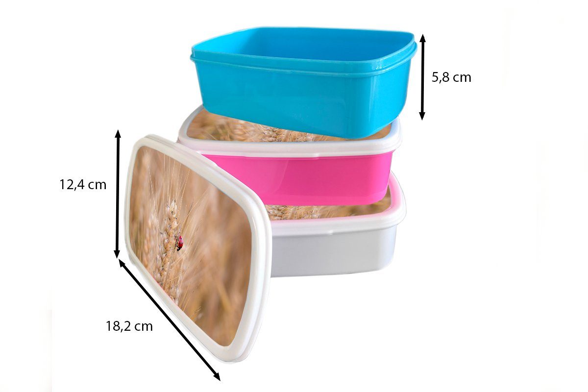 Brotbox Snackbox, MuchoWow Kunststoff, Brotdose (2-tlg), in Marienkäfer Erwachsene, Kinder, rosa Mädchen, Weizenfeld, Lunchbox für einem Kunststoff