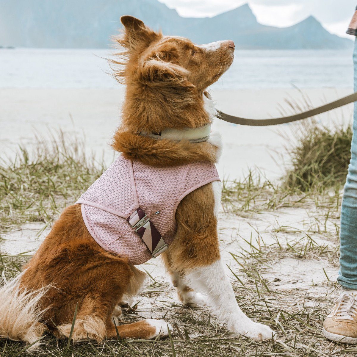 HURTTA Hundeweste Kühlweste Cooling Wrap nelke
