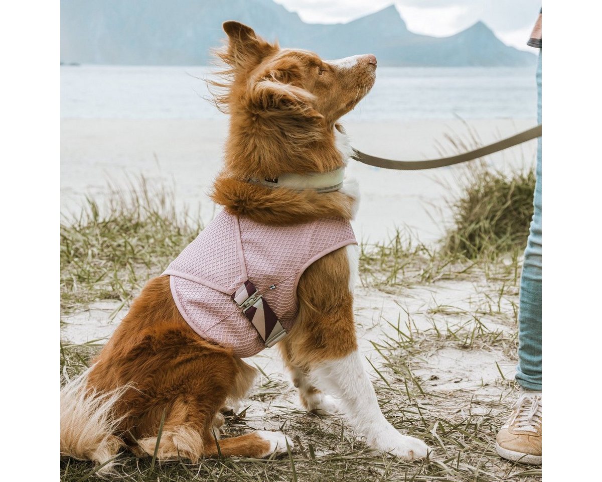 Thumbnail - HURTTA Hundeweste Kühlweste Cooling Wrap nelke