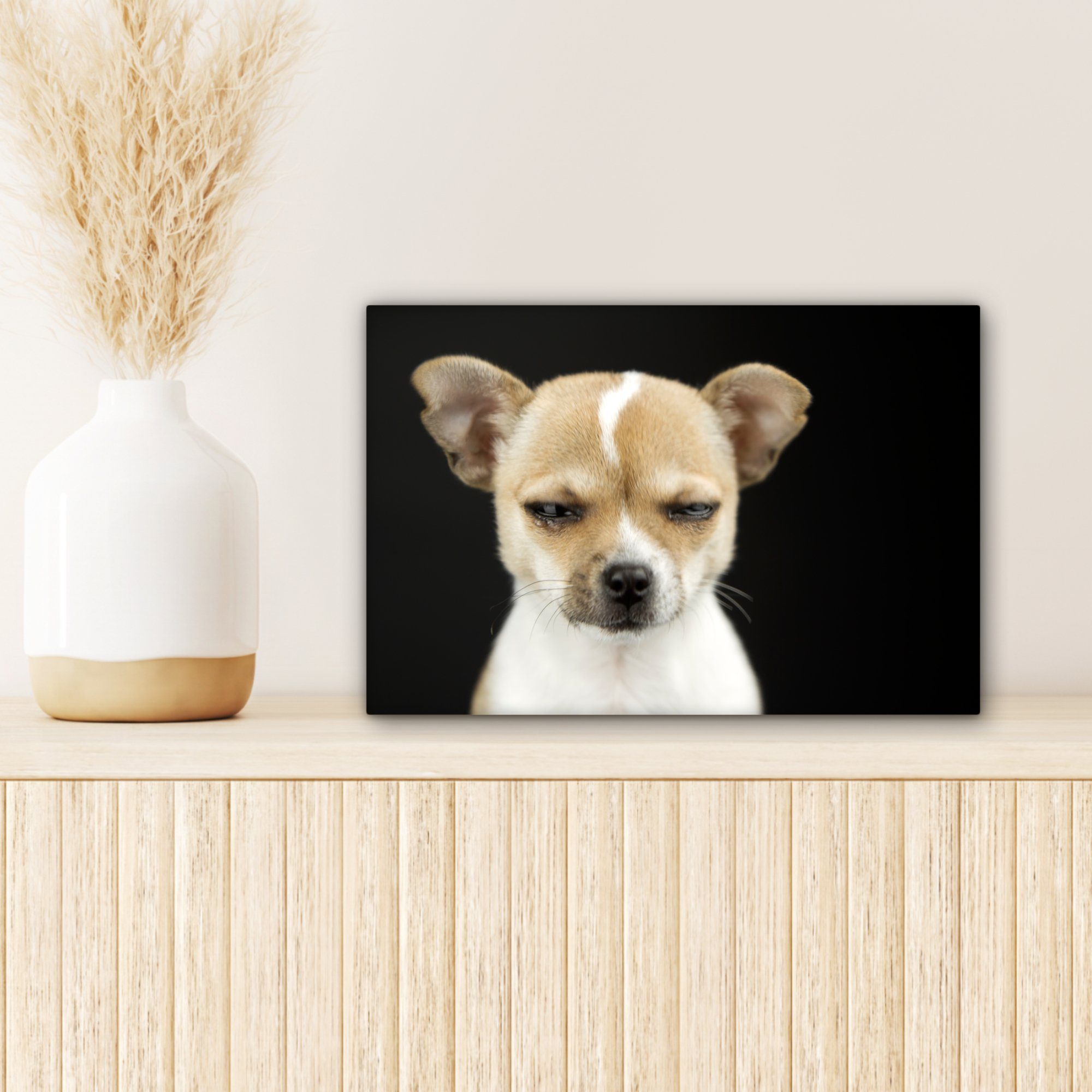 St), Wanddeko, (1 30x20 cm - Leinwandbild OneMillionCanvasses® Aufhängefertig, Leinwandbilder, Haustiere - Hund Porträt, Wandbild