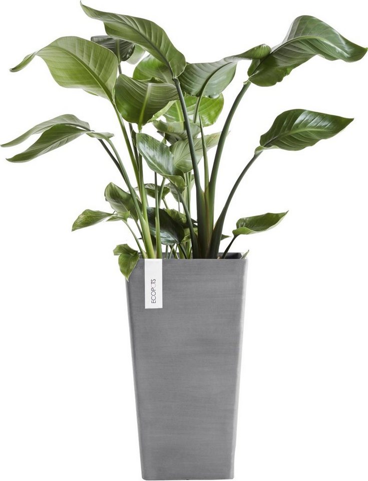 Thumbnail - ECOPOTS Blumentopf ROTTERDAM MID HIGH Grey, BxTxH: 31x31x56 cm