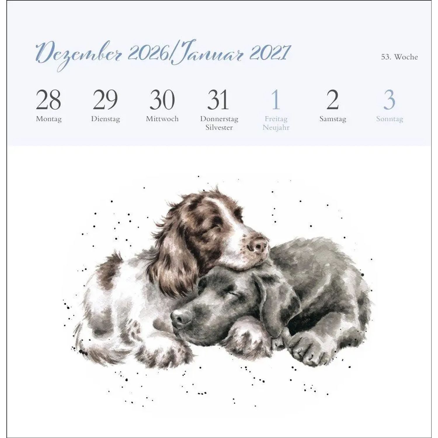 HEYE Kunstkalender Hannah Dale: Happy Animals Premium-Postkartenkalender 2027 – Bild 2 von 5