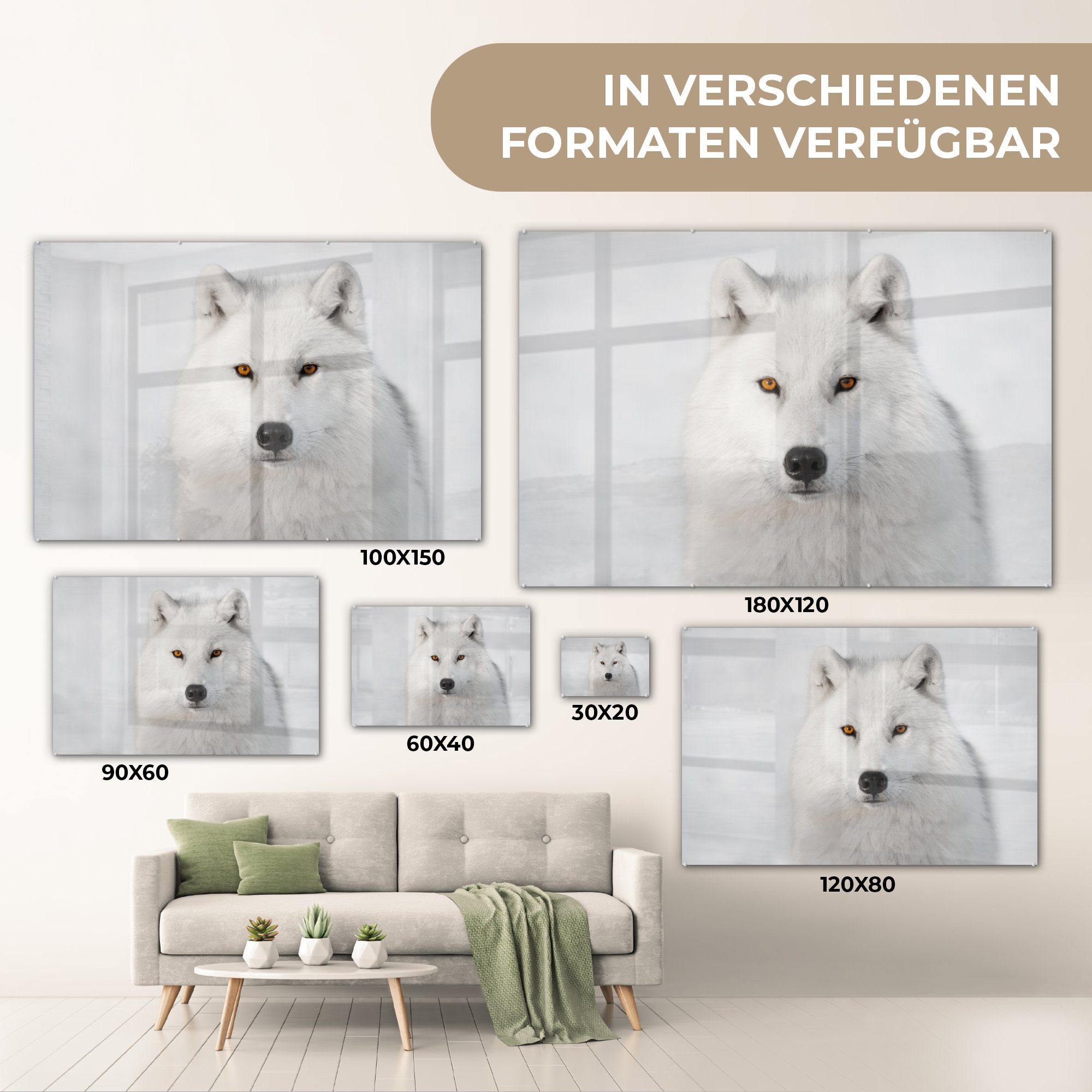 Acrylglasbild Acrylglasbilder weißem St), Wohnzimmer Schlafzimmer MuchoWow & (1 Wolf Hintergrund, Weißer auf